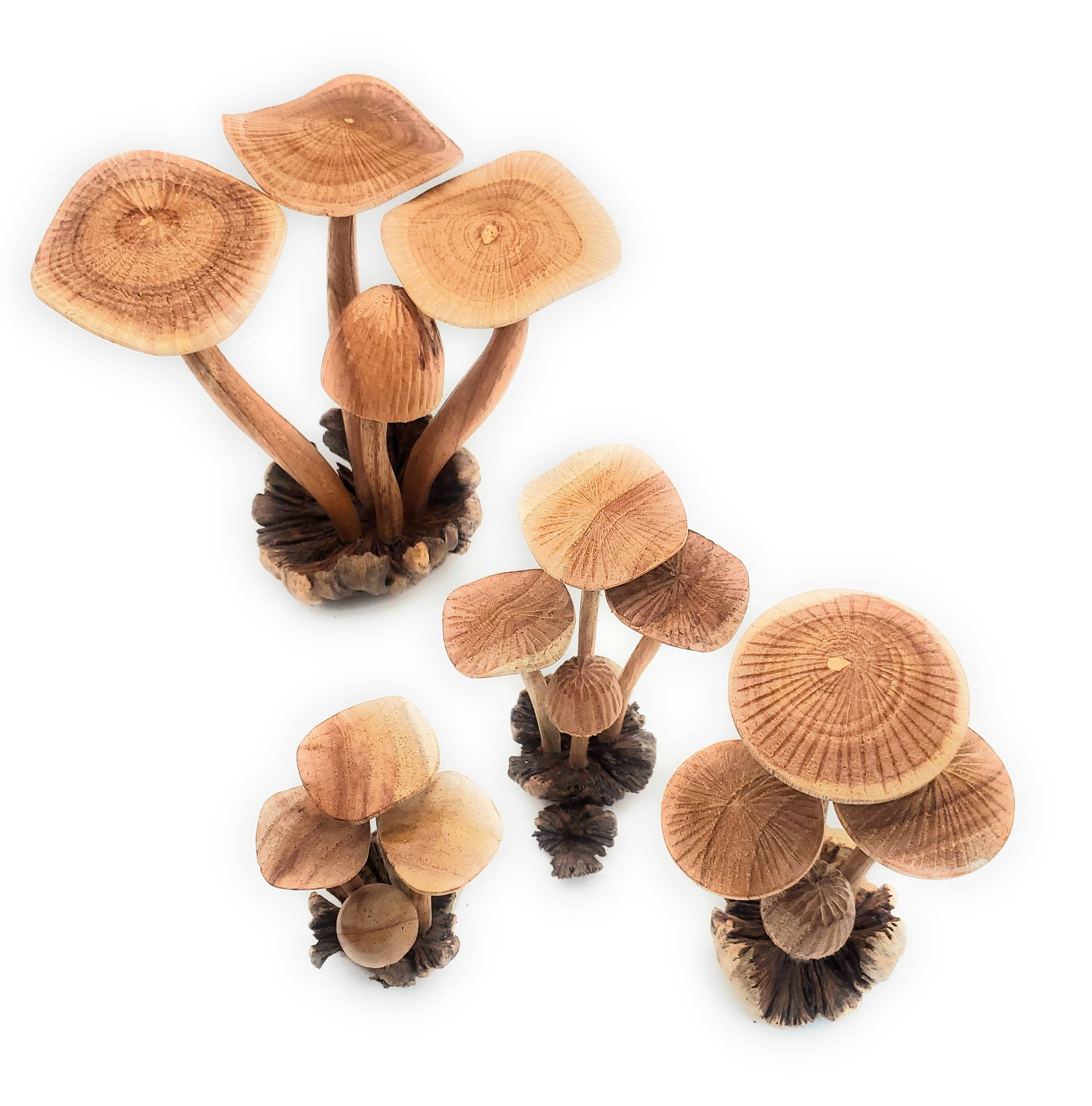 A Lost Art - Hand Carved Extra Large Wooden Magical Mushroom - Image 3