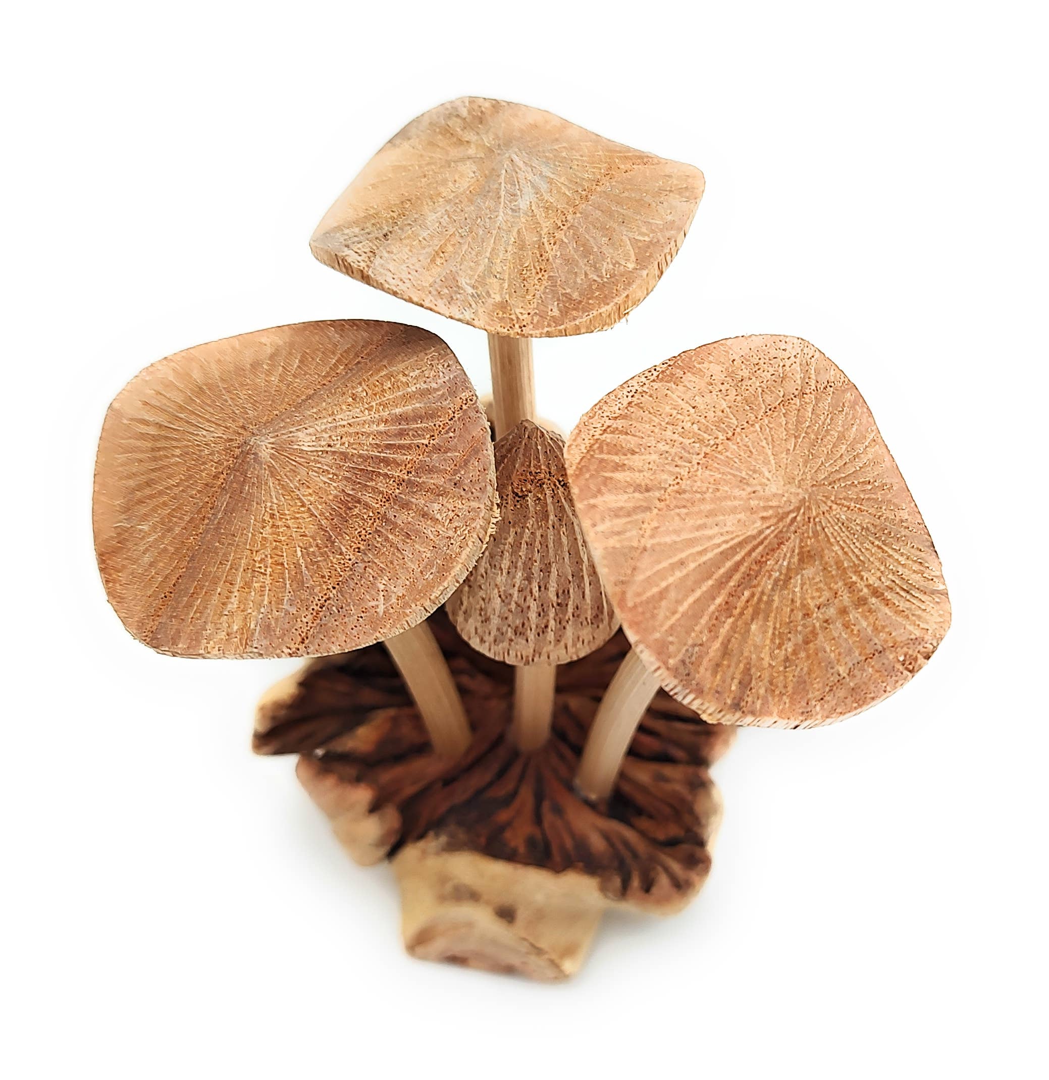 A Lost Art - Hand Carved Extra Small Wooden Mushroom - Image 4
