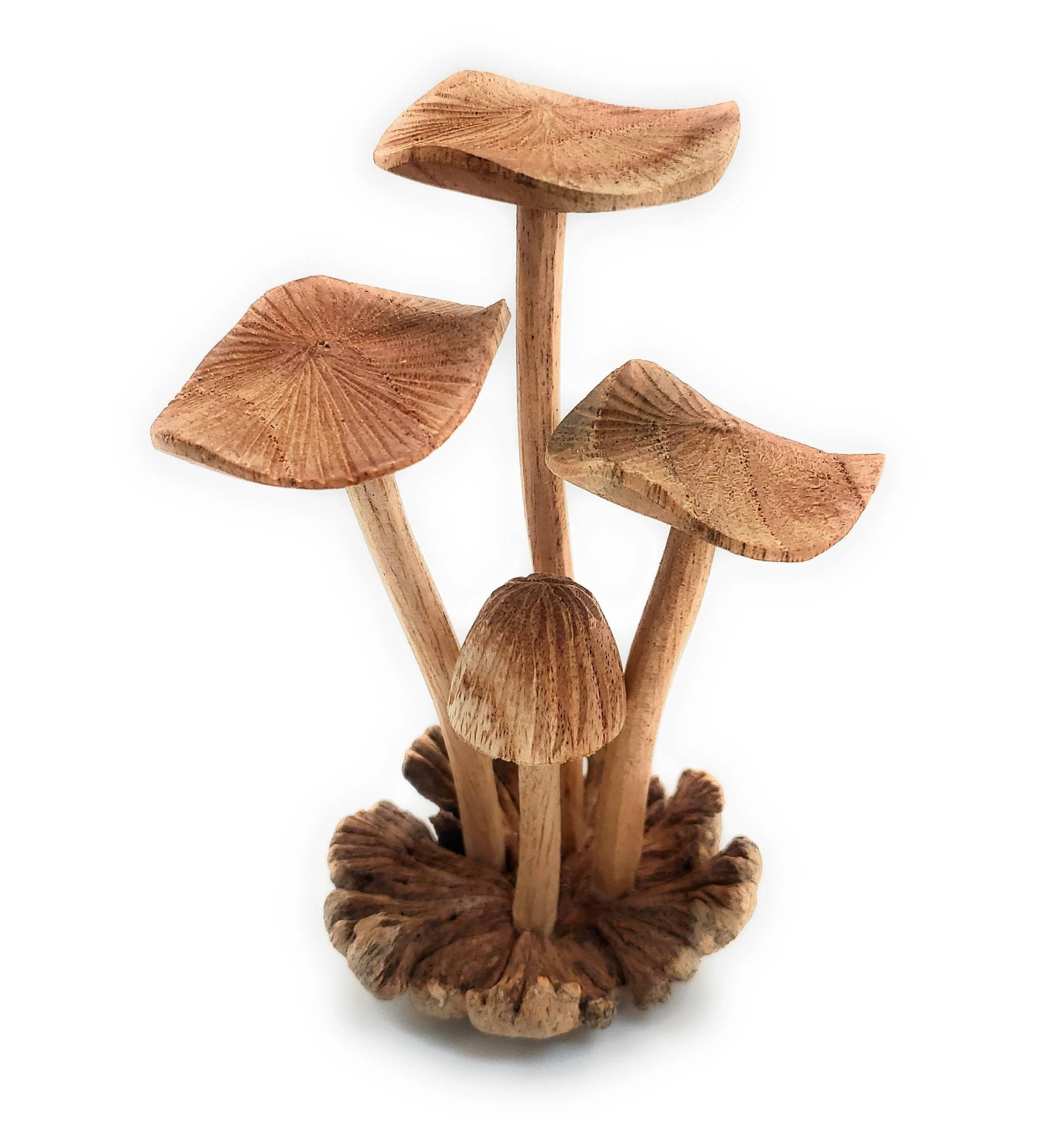 A Lost Art - Hand Carved Small Wooden Mushroom - Image 2