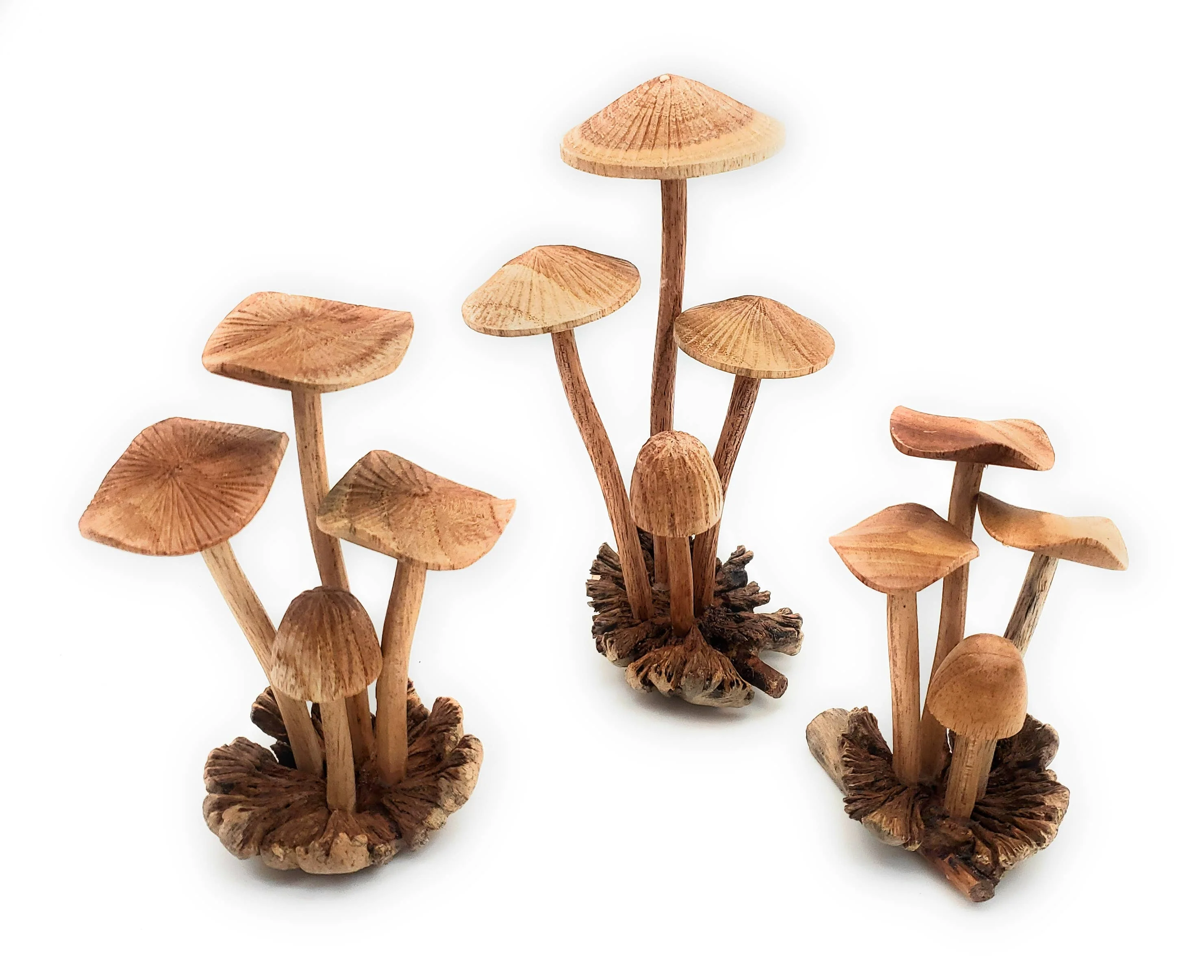 A Lost Art - Hand Carved Small Wooden Mushroom - Image 3