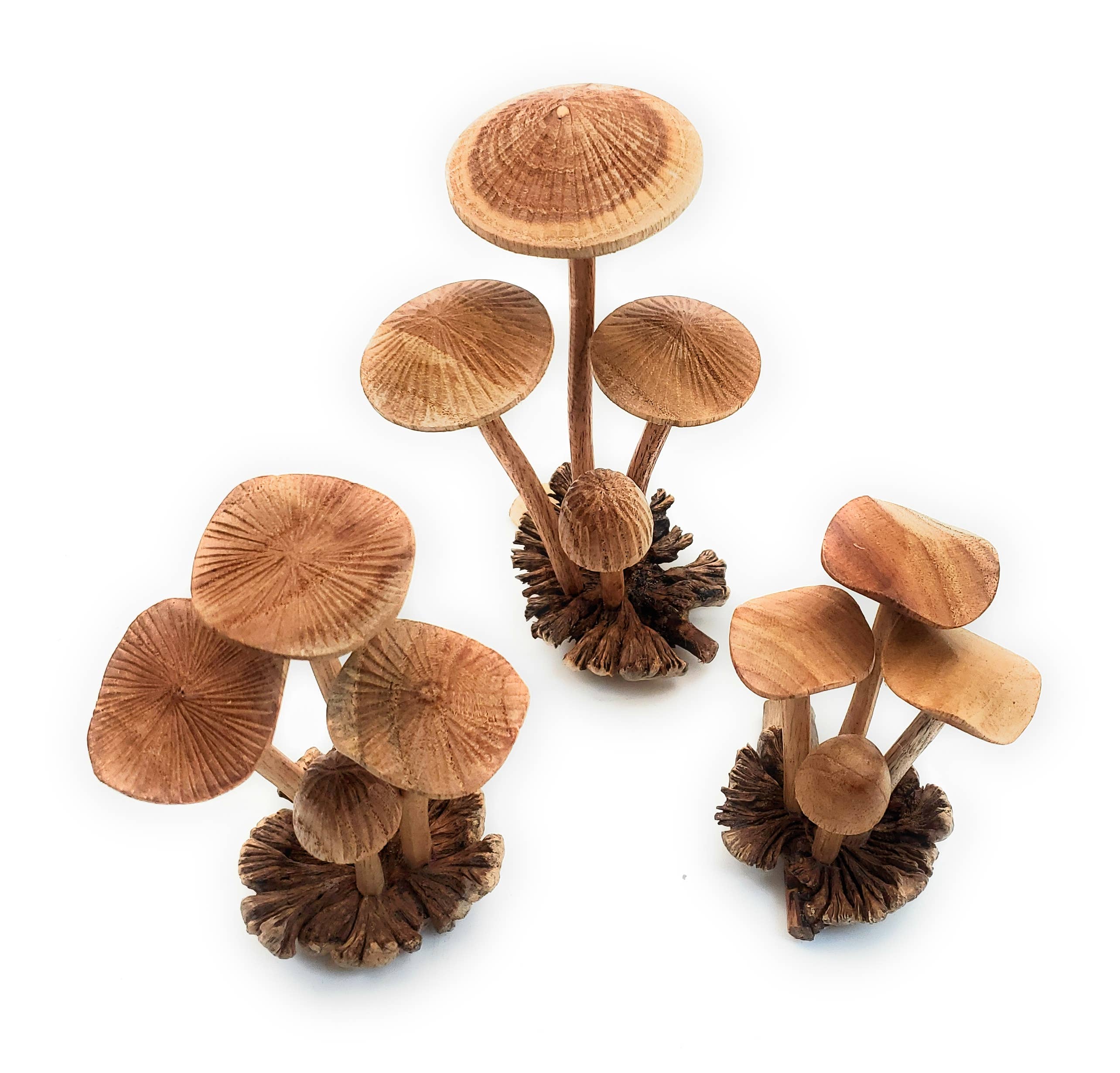 A Lost Art - Hand Carved Small Wooden Mushroom - Image 4