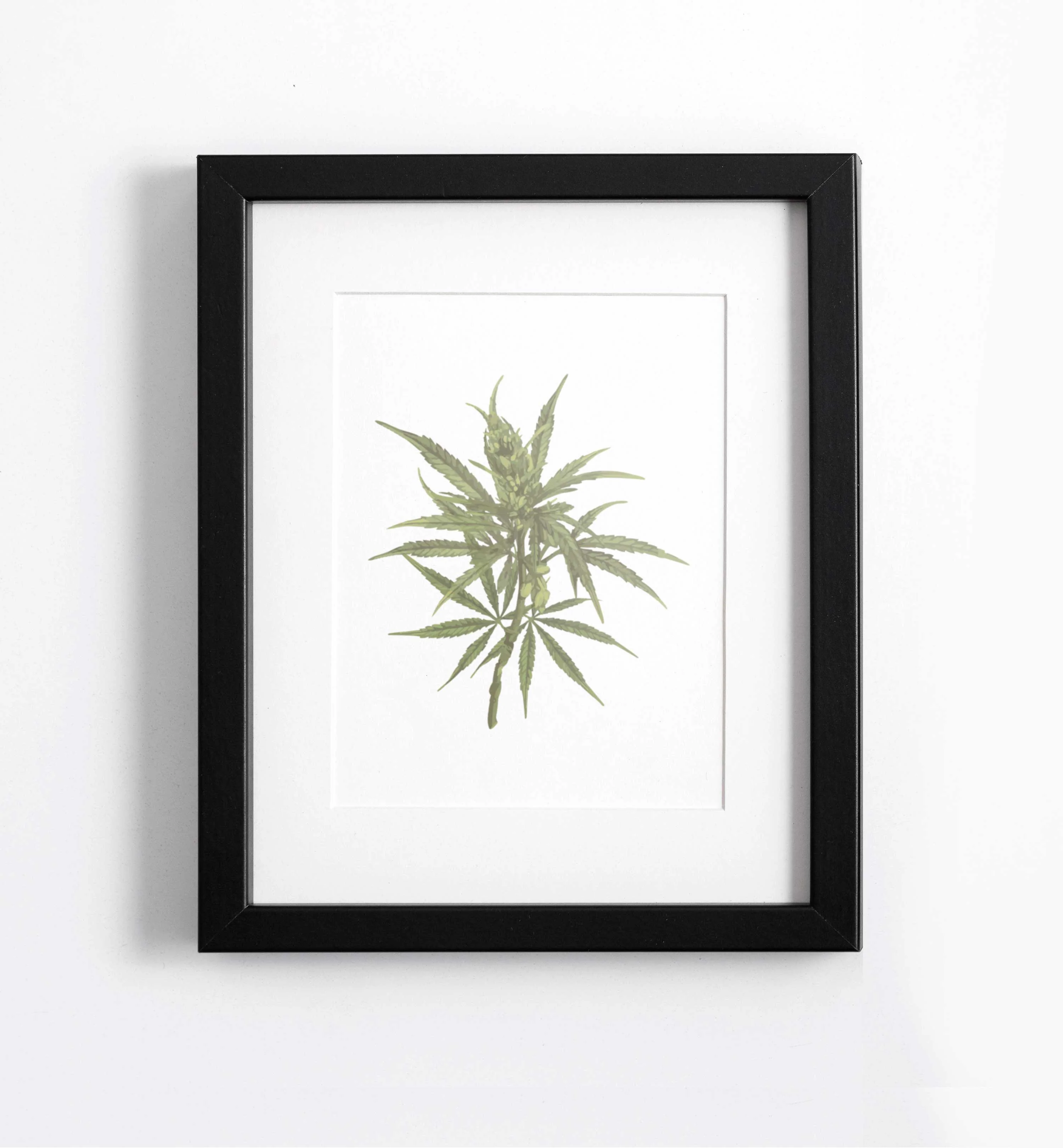 botanical cannabis art print