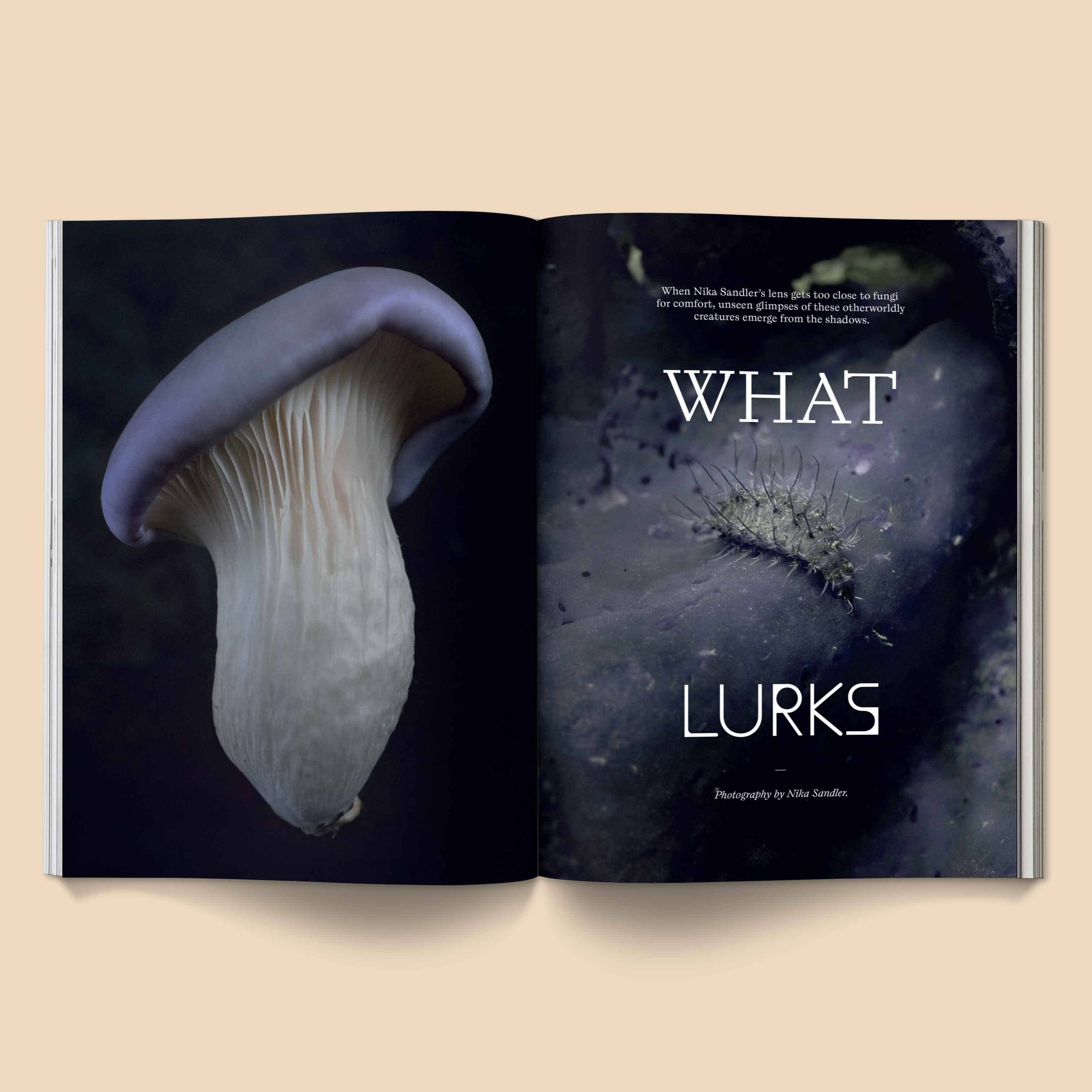 Broccoli - Mushroom People Magazine: Volume 2 - Image 3