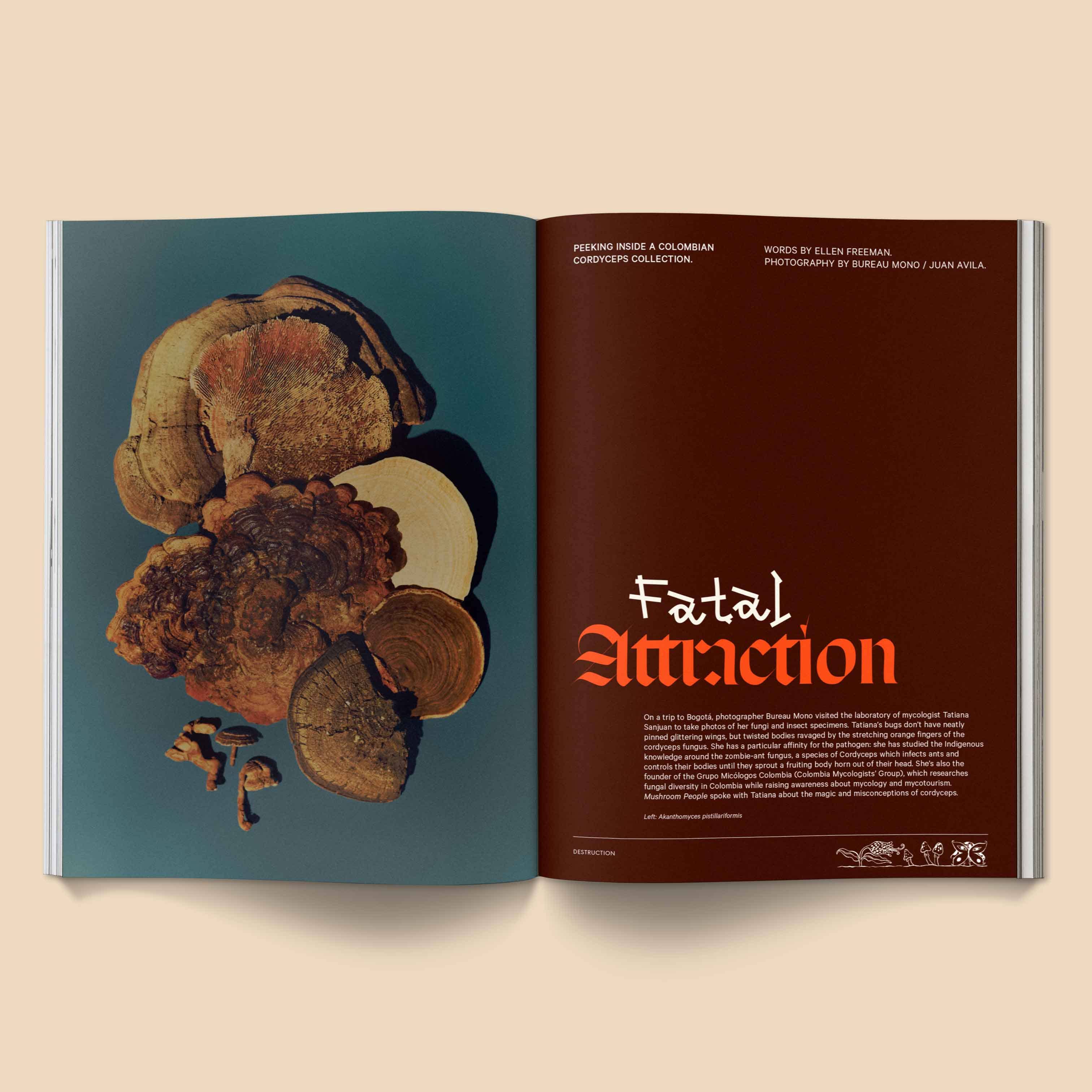 Broccoli - Mushroom People Magazine: Volume 2 - Image 4