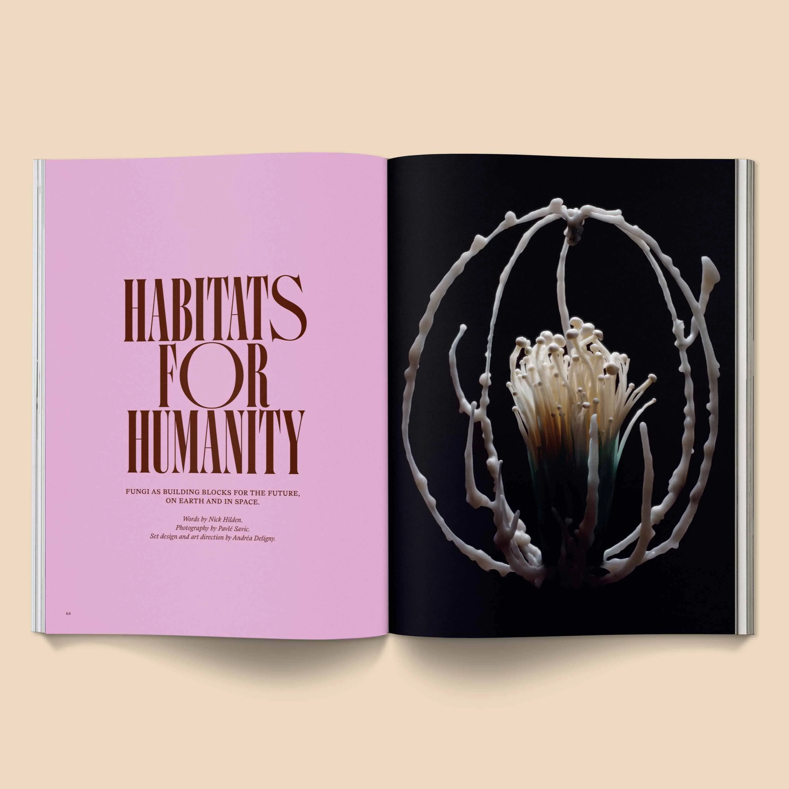 Broccoli - Mushroom People Magazine: Volume 2 - Image 6
