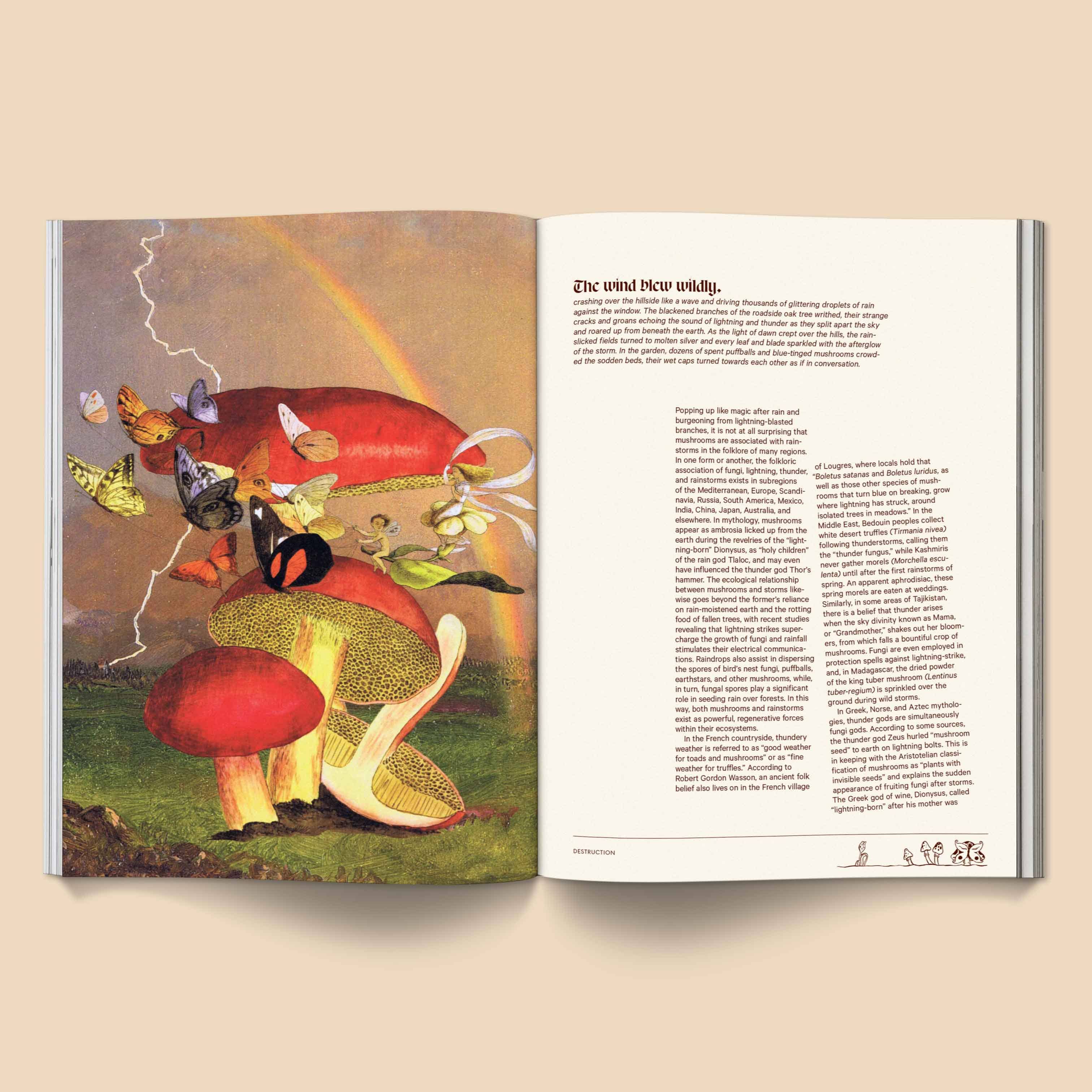 Broccoli - Mushroom People Magazine: Volume 2 - Image 7