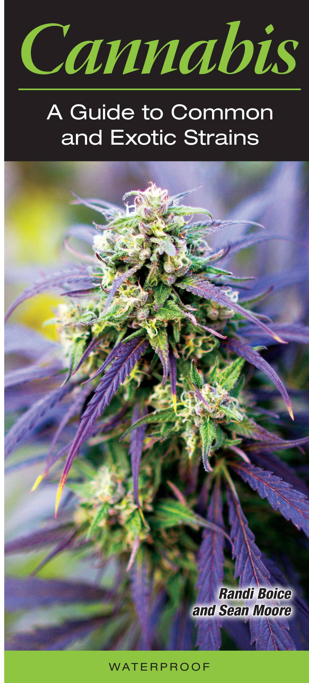 Cannabis: A Guide to Common and Exotic Strains