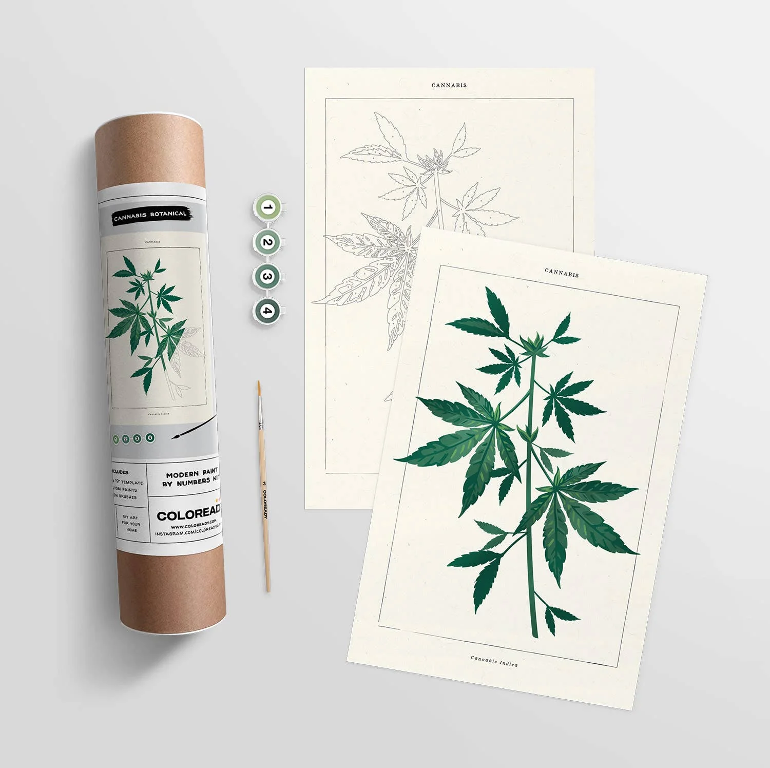 Cannabis Botanical | Modern Paint By Numbers Kit