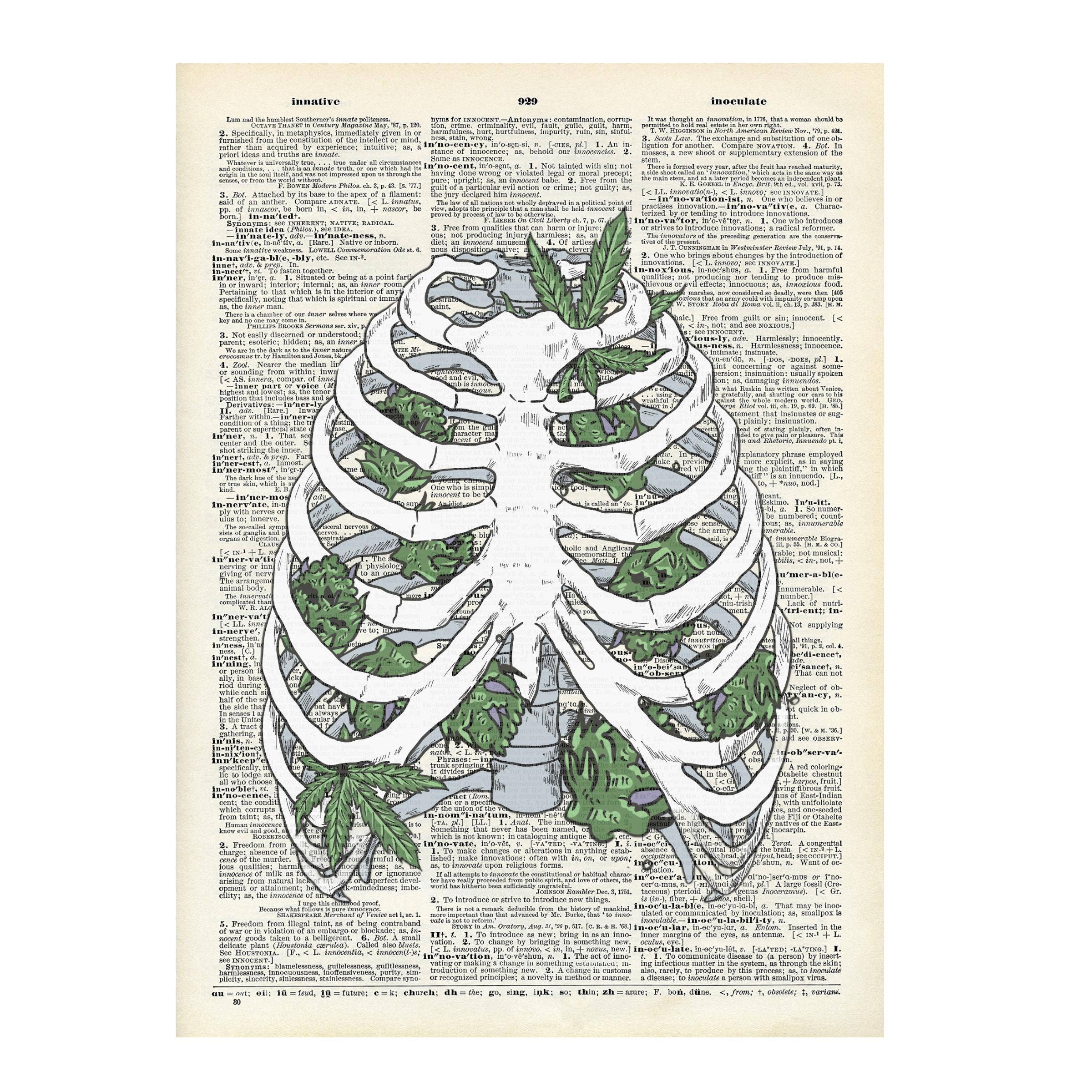 Crazilyhumbledesigns - 420 friendly, art , Vintage, Dictionary Prints
