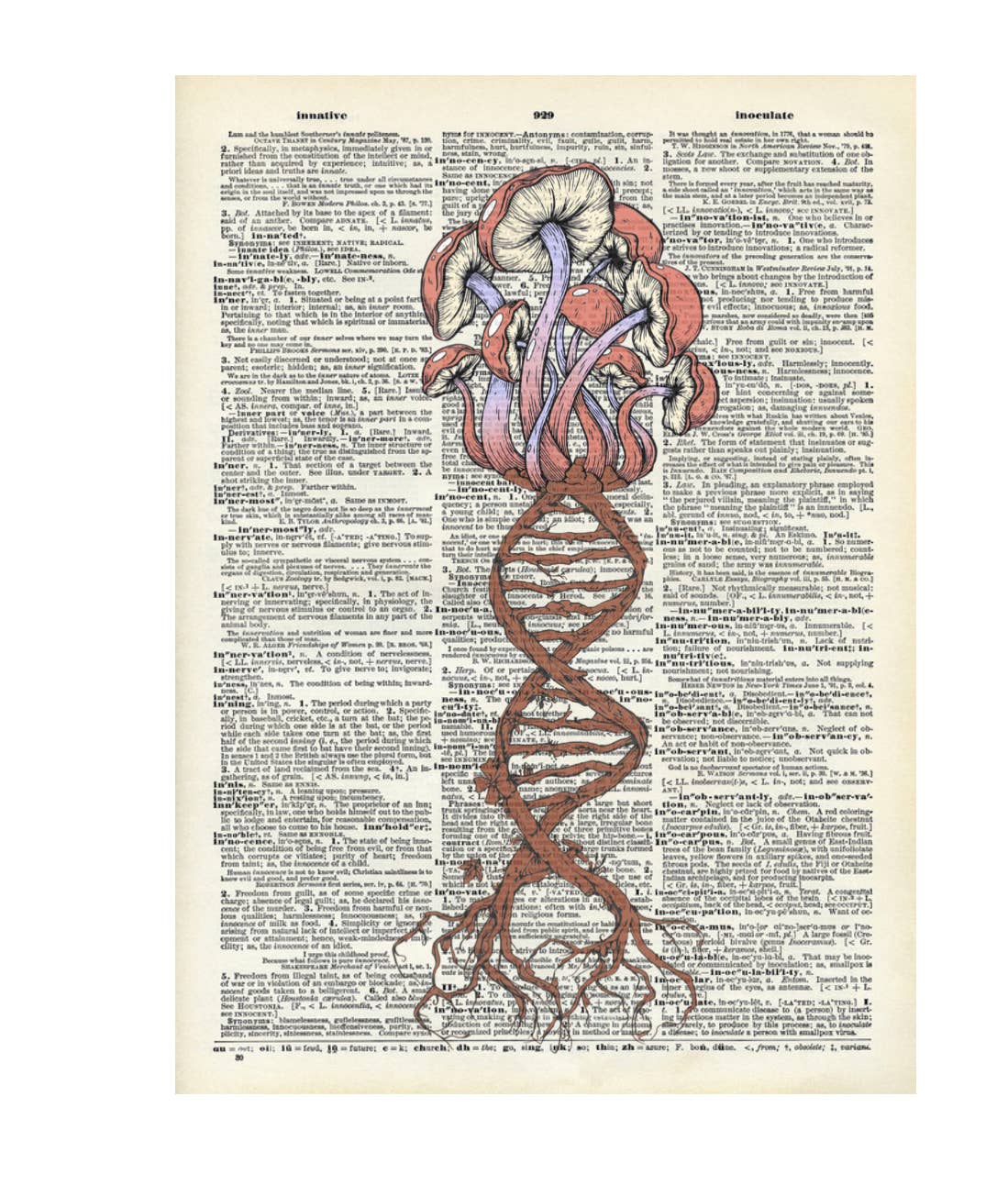 Crazilyhumbledesigns - Mushroom, trippy, Vintage Dictionary Print