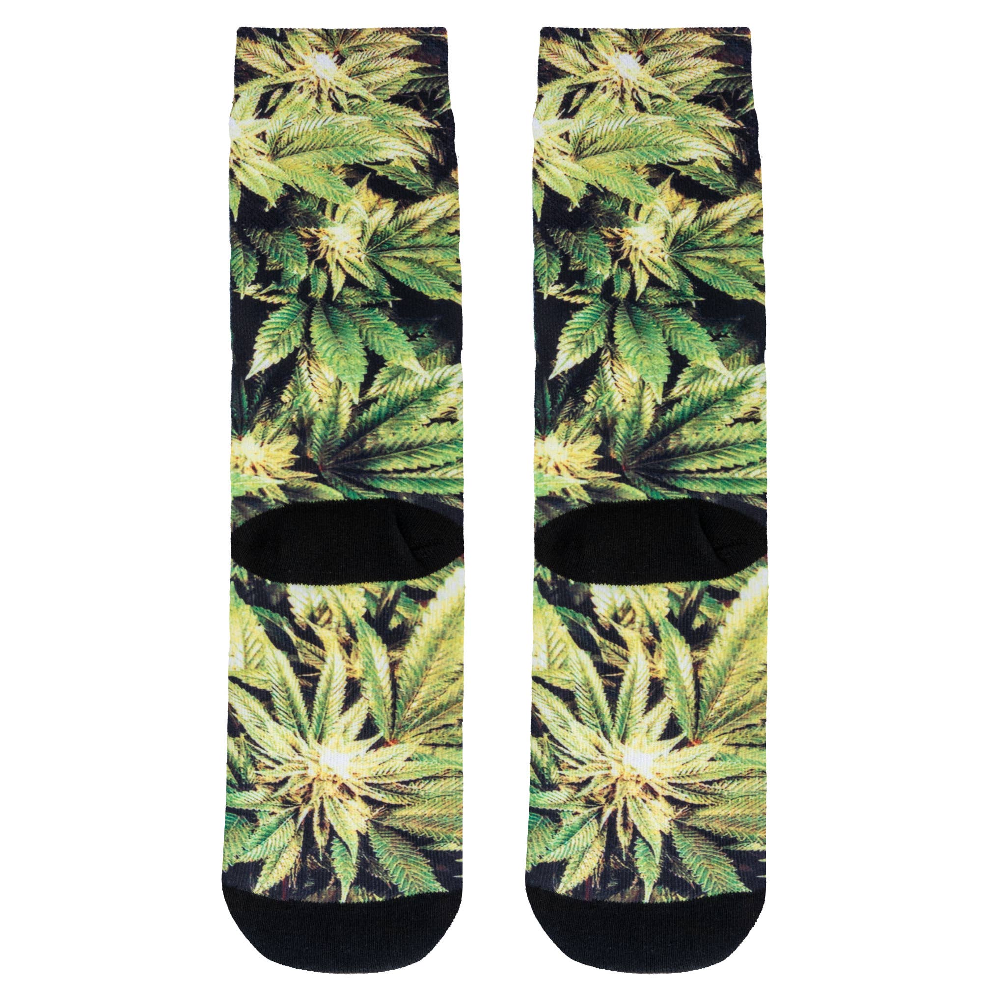 Crazy Socks - Mens Crew - Trees