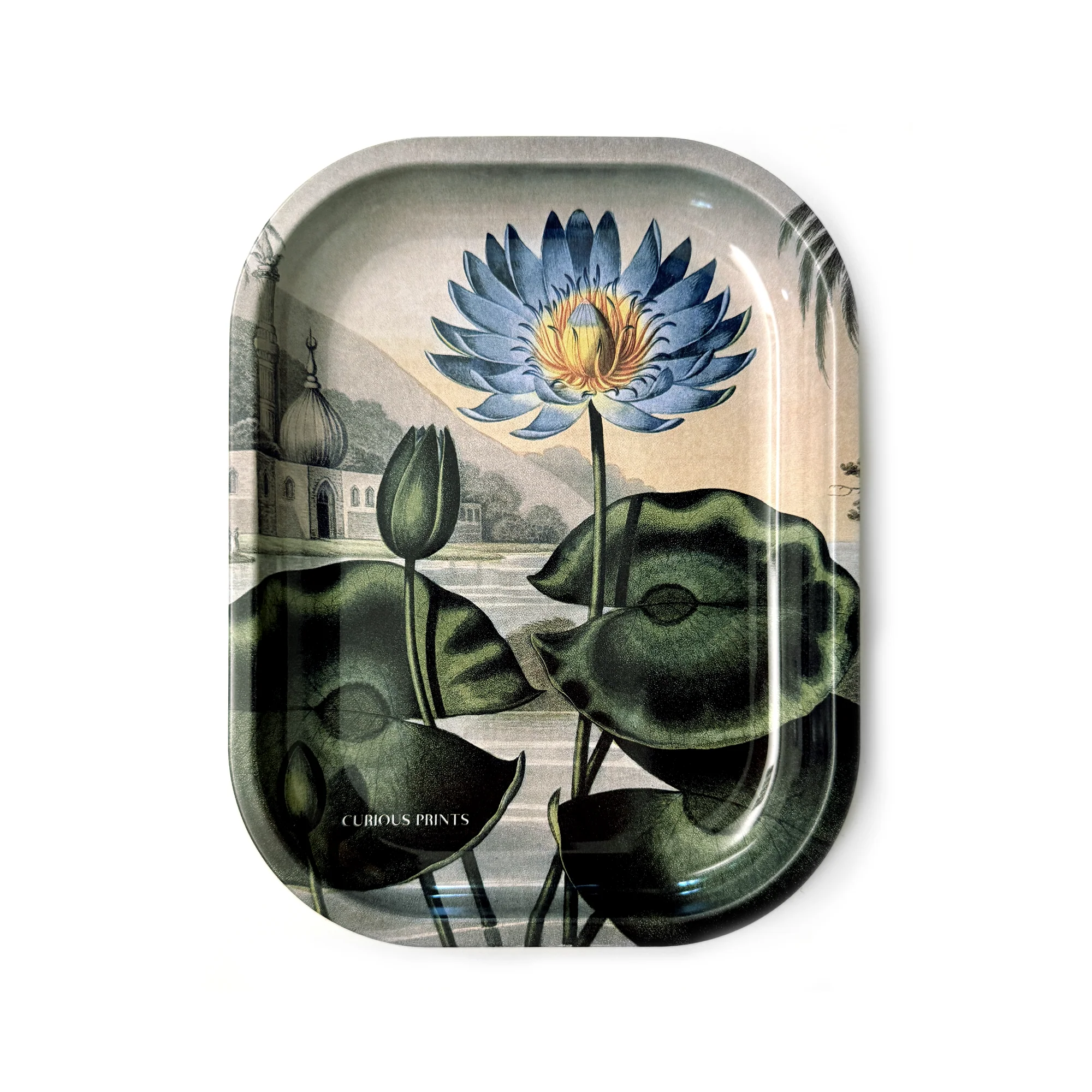 Curious Prints - Small Metal Blue Lotus Water Lily Trinket Tray / Vintage