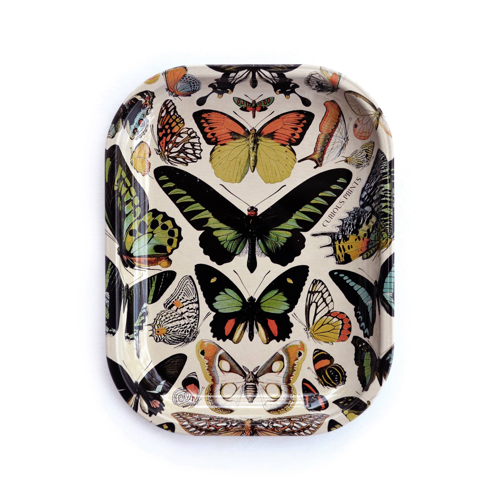 Curious Prints - Small Metal Butterfly 1 Tray / Vintage Butterflies Print