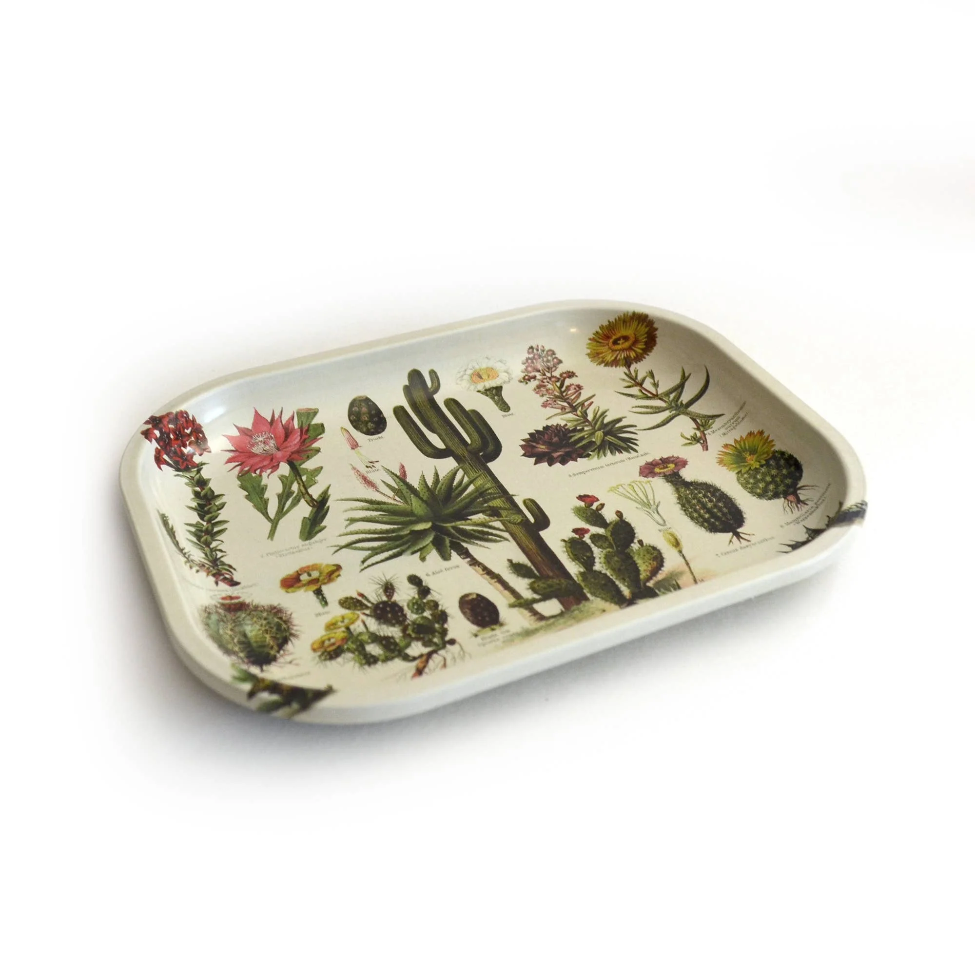 Curious Prints - Small Metal Cactus Ritual Tray / Vintage Cacti Print - Image 2