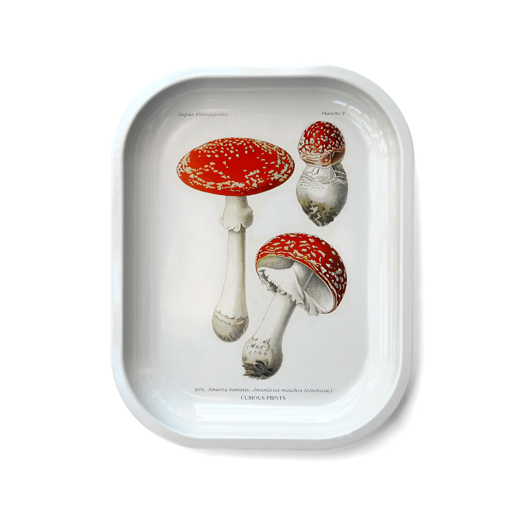 Curious Prints - Small Metal Magic Mushroom Catchall Tray / Rolling Tray