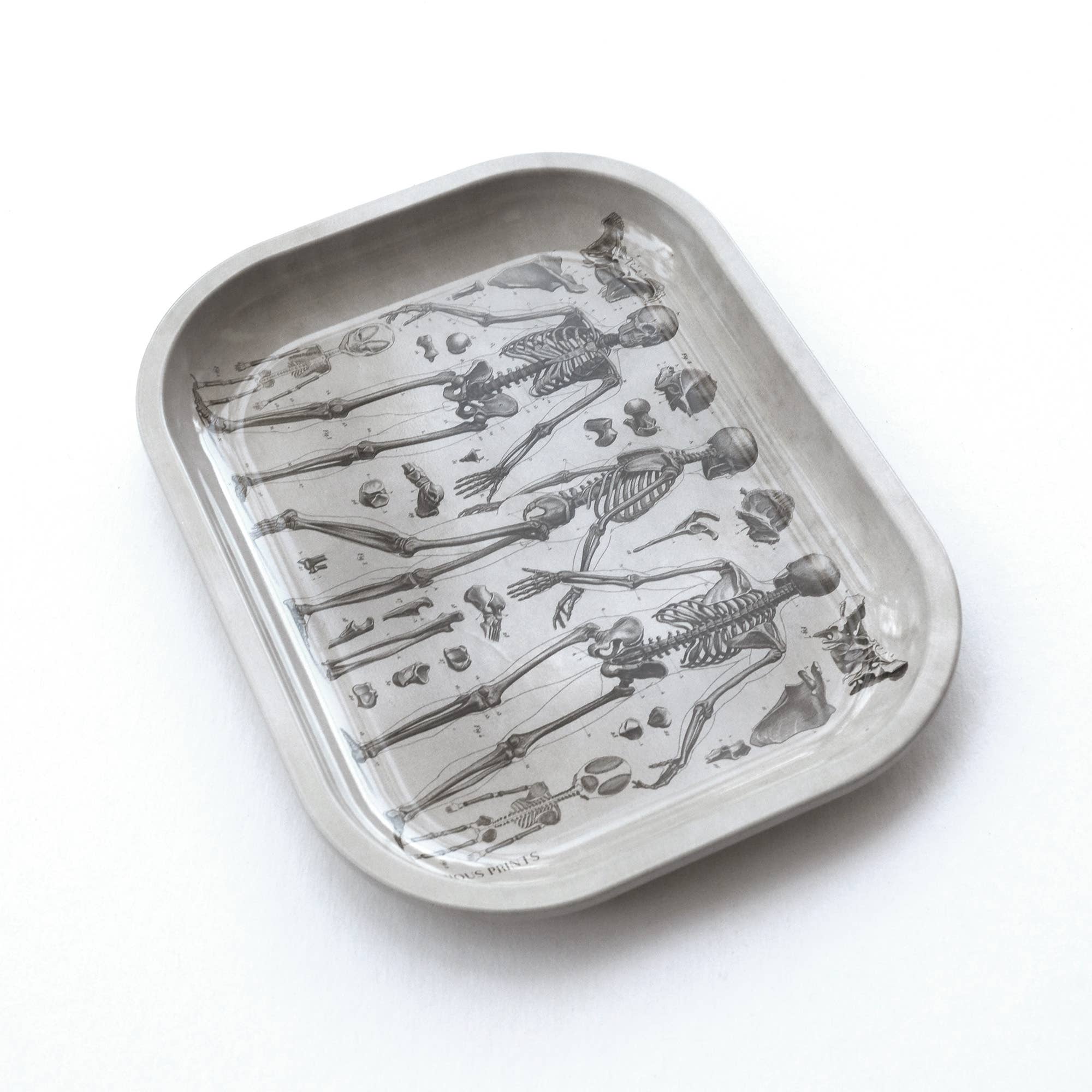 Curious Prints - Small Metal Skeleton Diagram Trinket Tray / Vintage Anatomy - Image 2