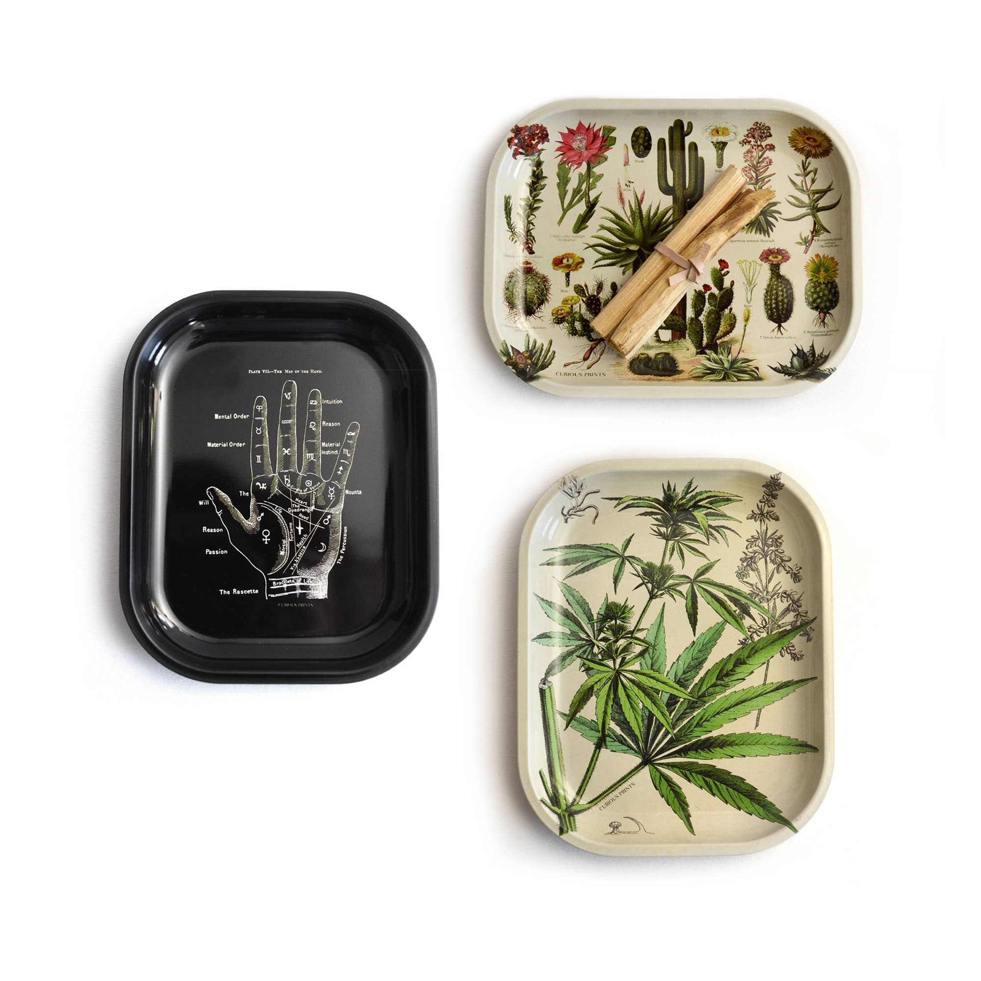Curious Prints - Small Metal Skeleton Diagram Trinket Tray / Vintage Anatomy - Image 5