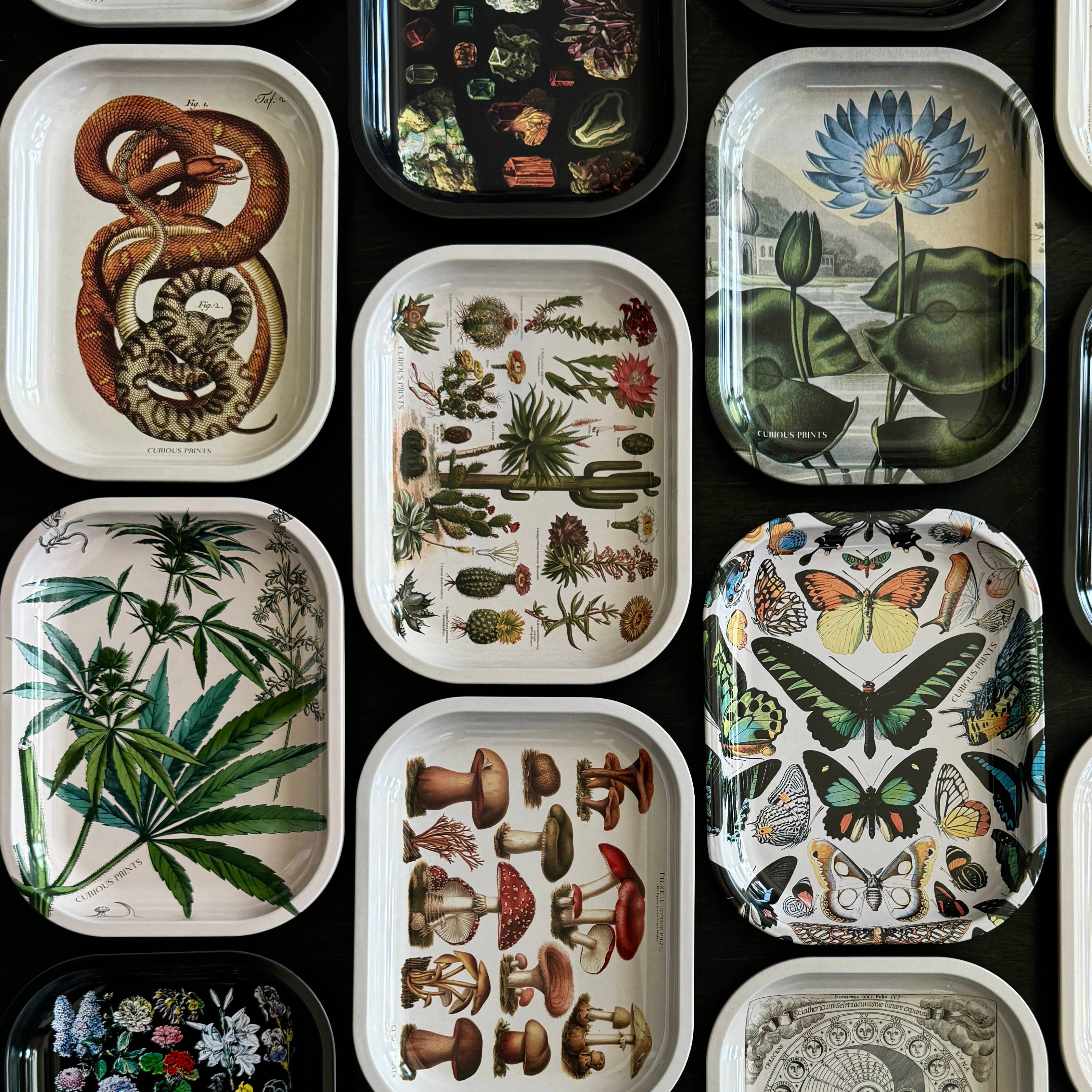 Curious Prints - Small Metal Snake Ritual Tray / Vintage Print Rolling Tray - Image 3