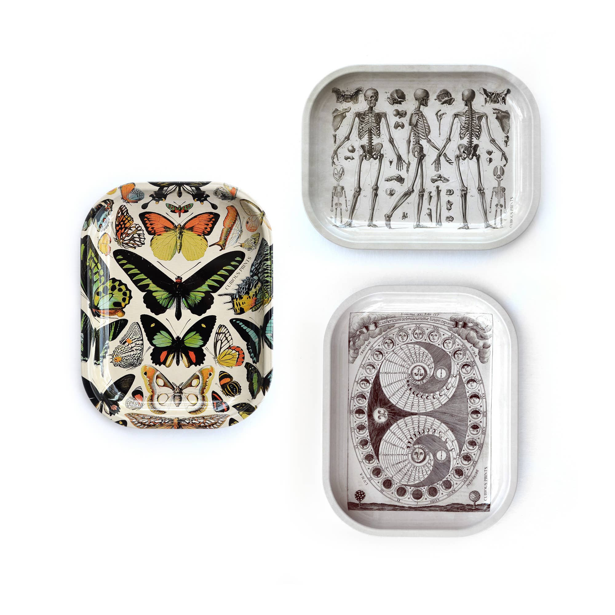 Curious Prints - Small Metal Sphinx Moth Catchall Tray / Vintage Print - Image 5