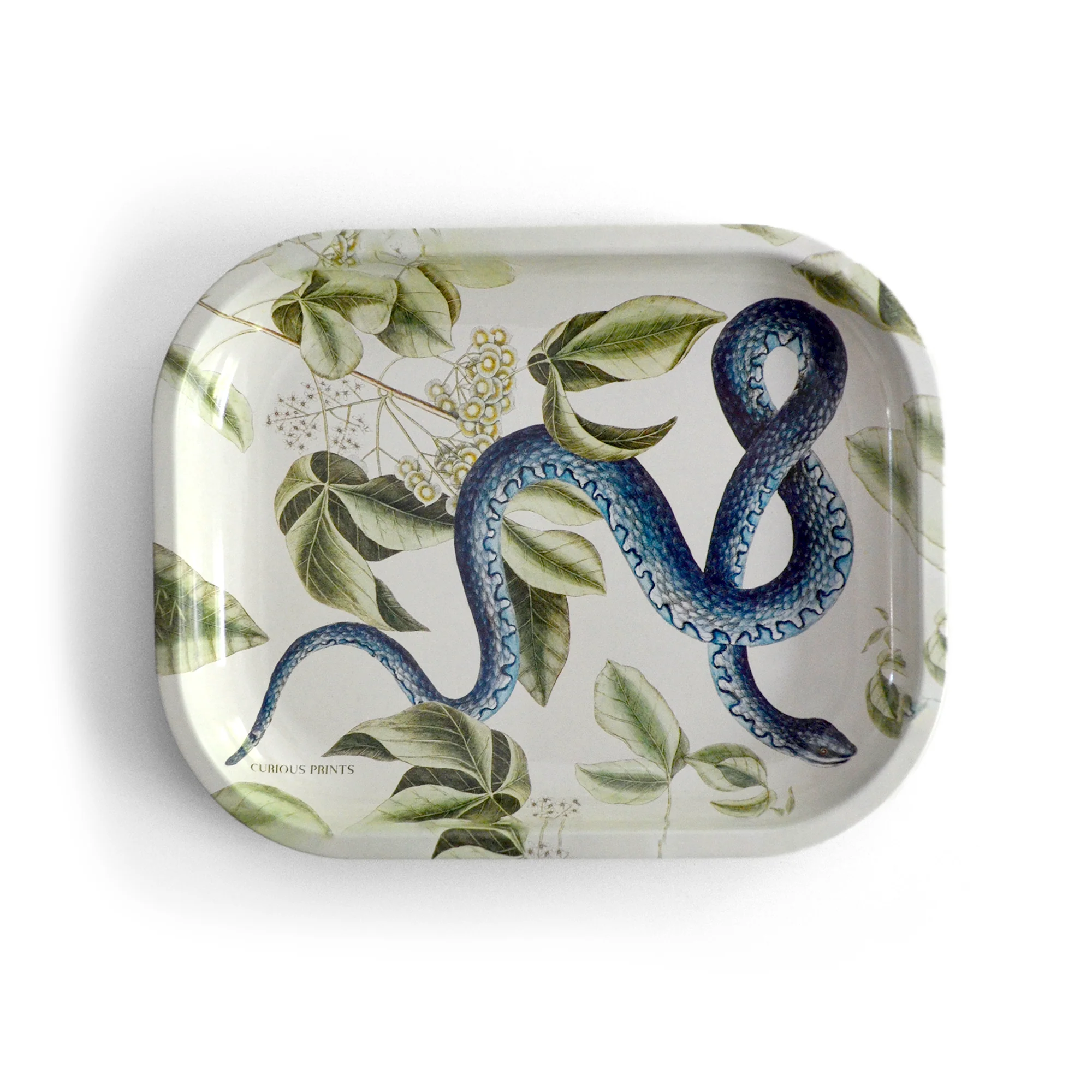 Curious Prints - Small Metal Vintage Blue Snake Trinket Tray