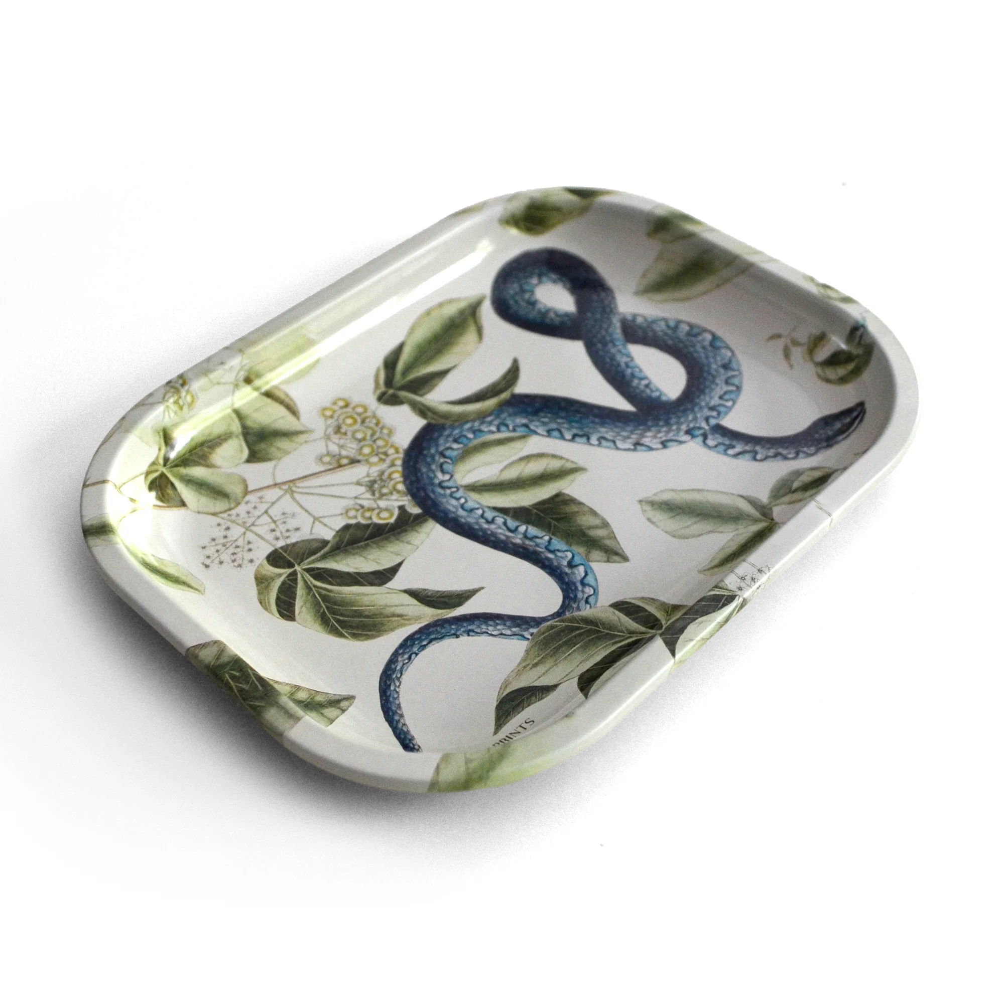 Curious Prints - Small Metal Vintage Blue Snake Trinket Tray - Image 2