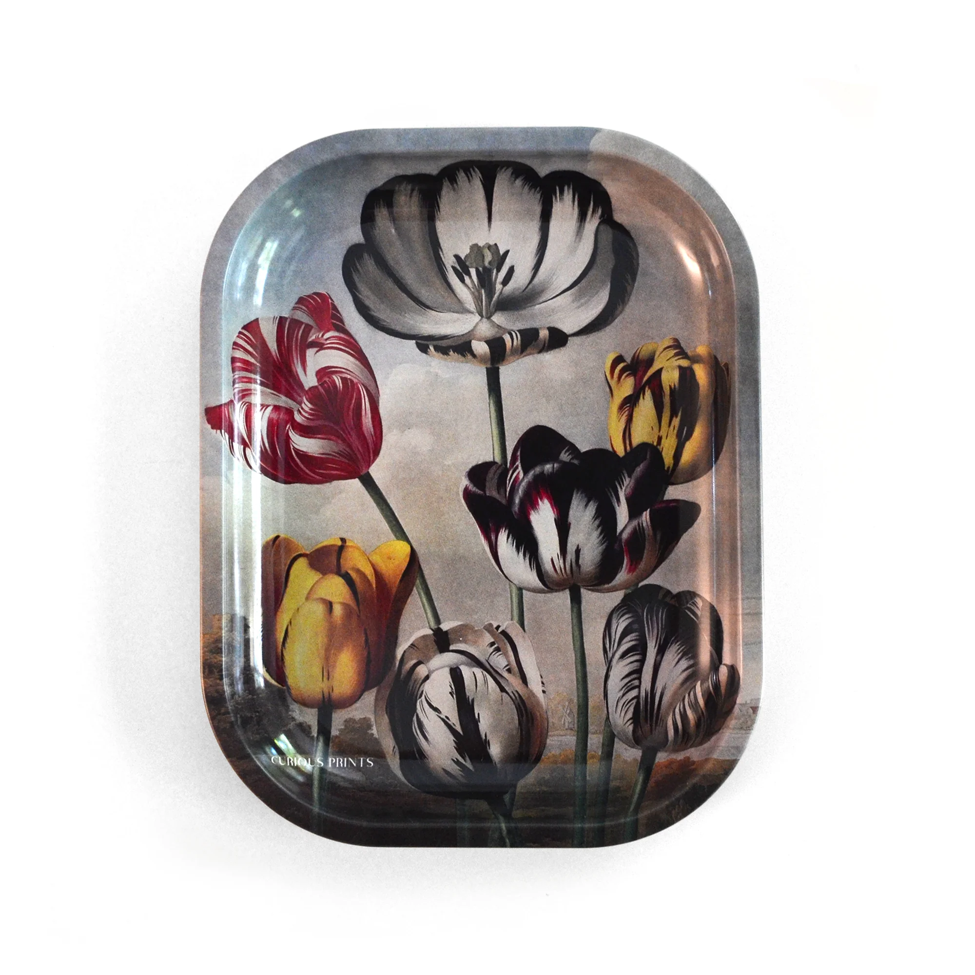 Curious Prints - Small Metal Vintage Botanical Tulip Trinket Tray