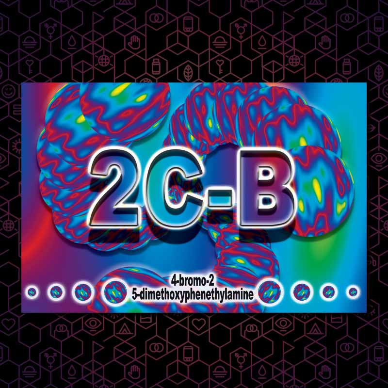Dancesafe - Drug Info Cards - Single Card/Whole Set - Image 4