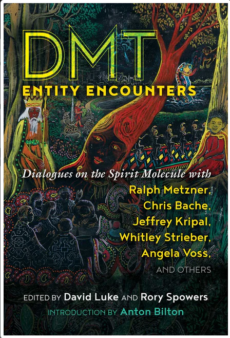 DMT Entity Encounters: Dialogues on the Spirit Molecule