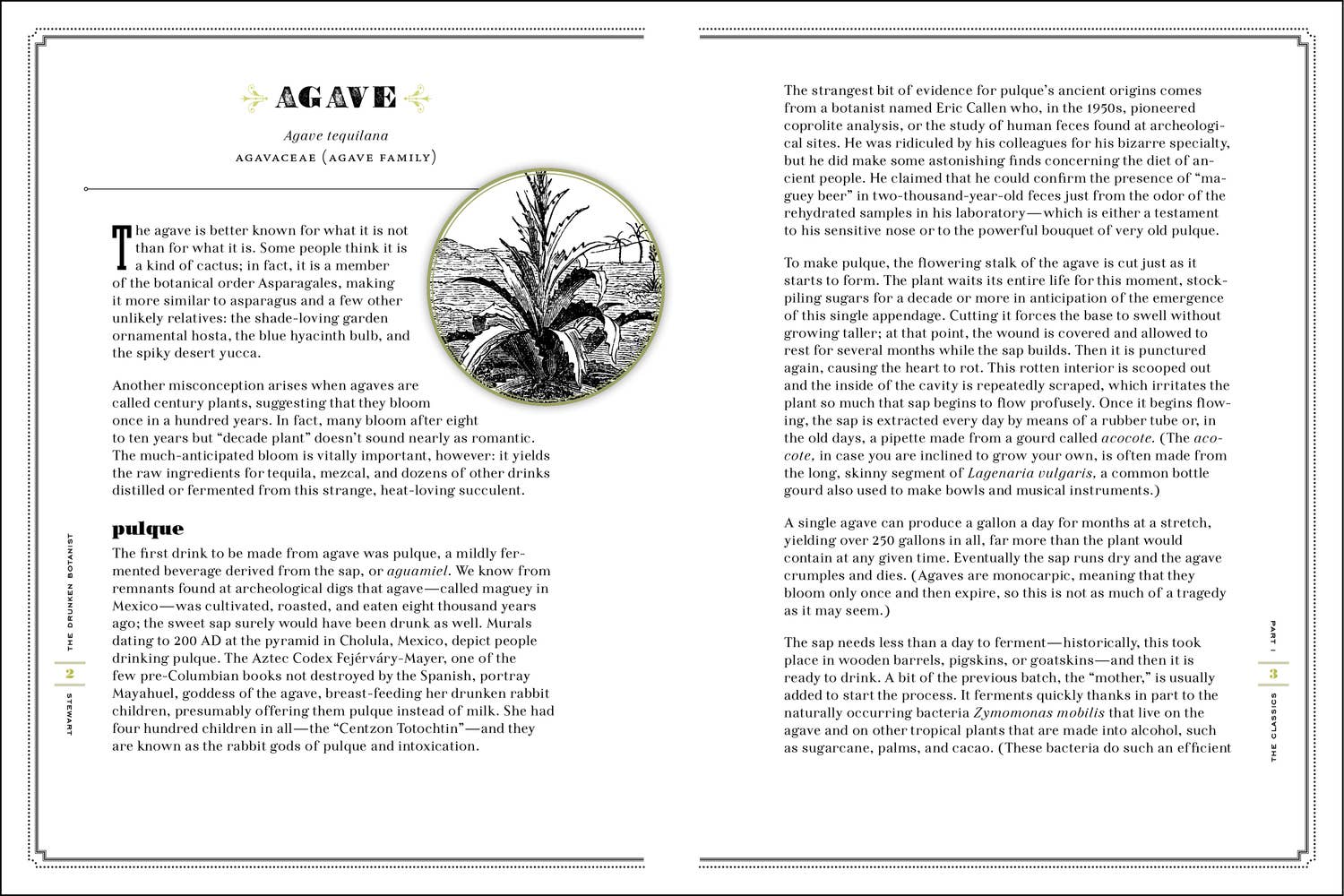 Drunken Botanist - Image 4