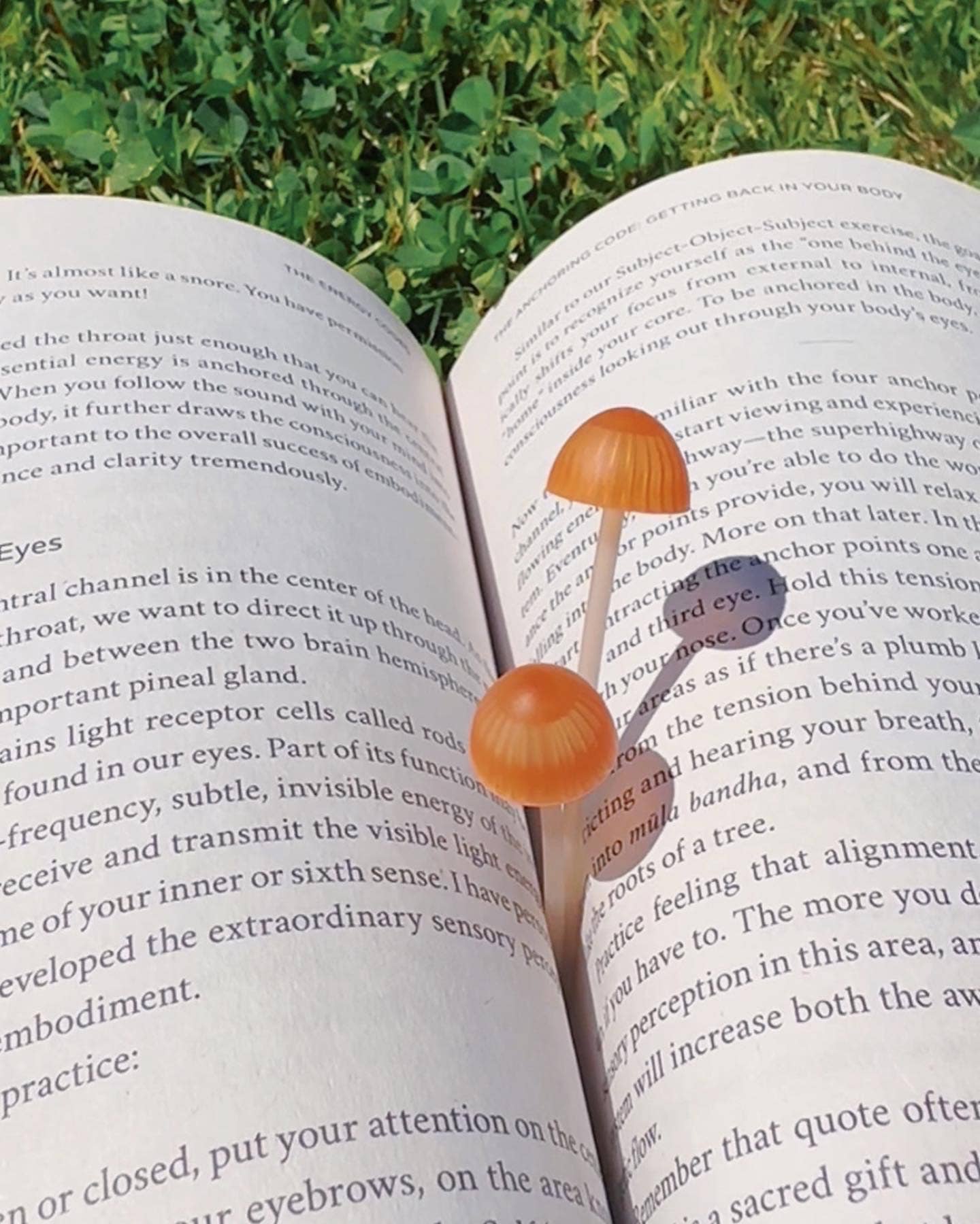 Fred & Friends - Magic Sprout - Mushroom Bookmarks - Set of 4 - Image 6