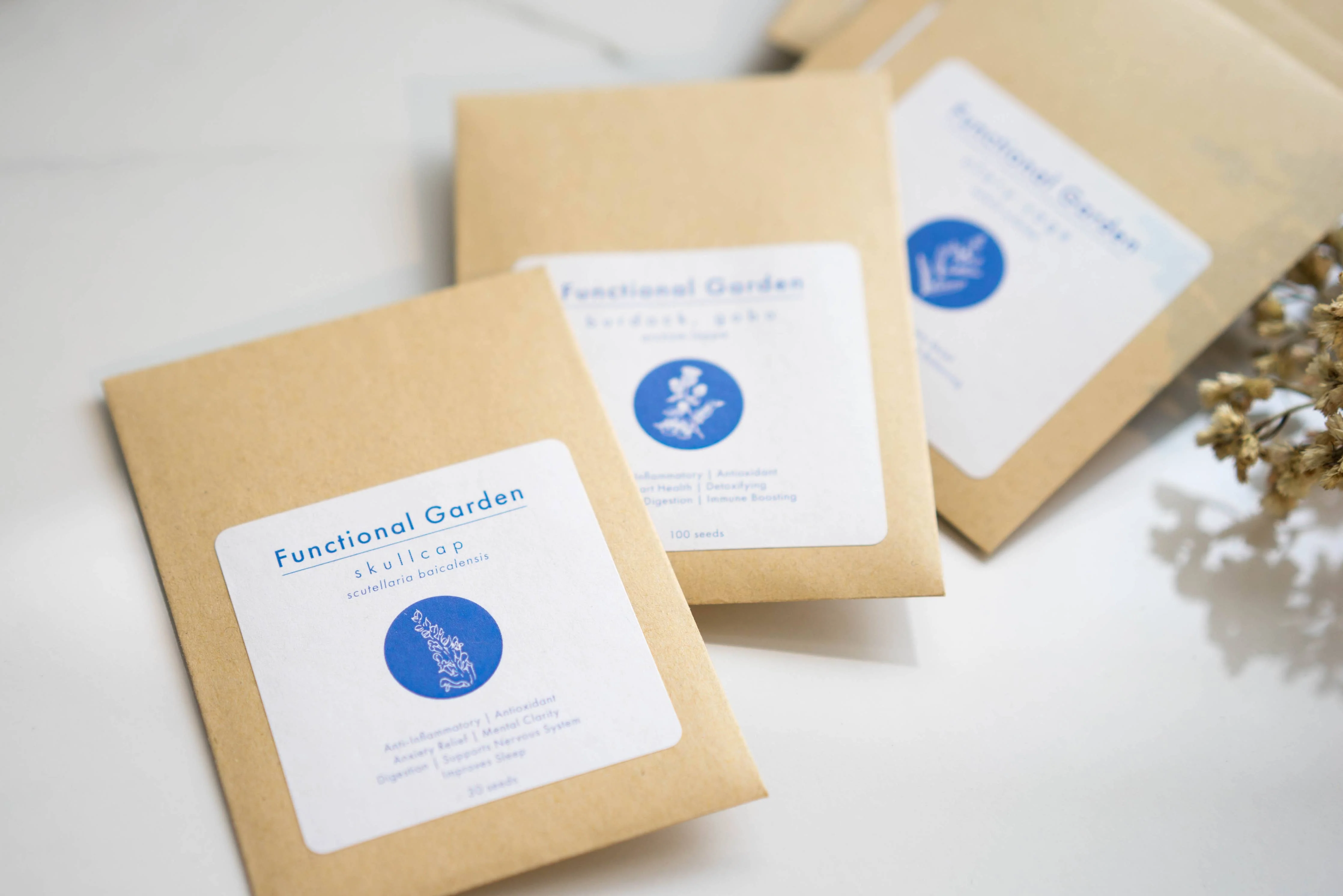 Plantae and Fungi - Functional Seed Packs