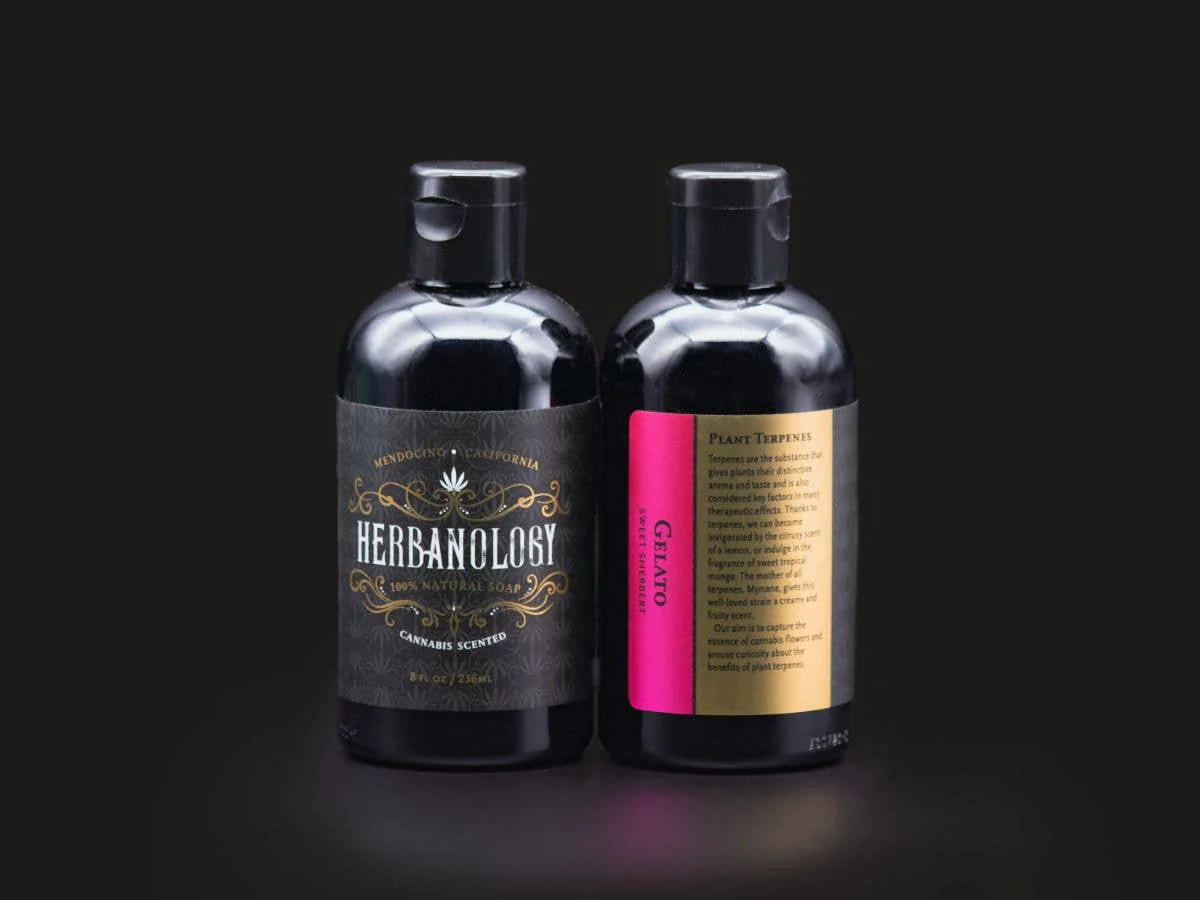 Gelato 8oz Cannabis Scented Liquid Soap