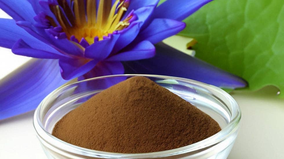 Healing Herbals - Blue Lotus Extract Powder