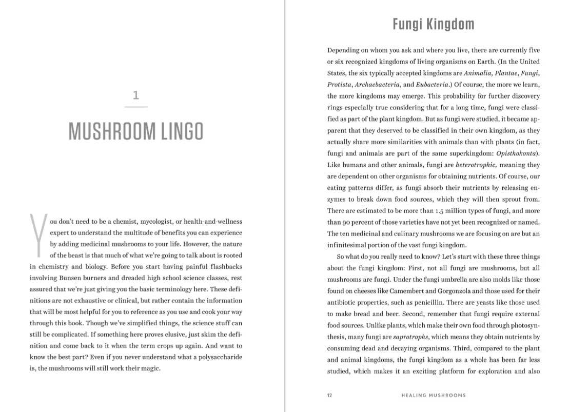 Healing Mushrooms: Using Mushrooms for Whole Body Health - Image 3