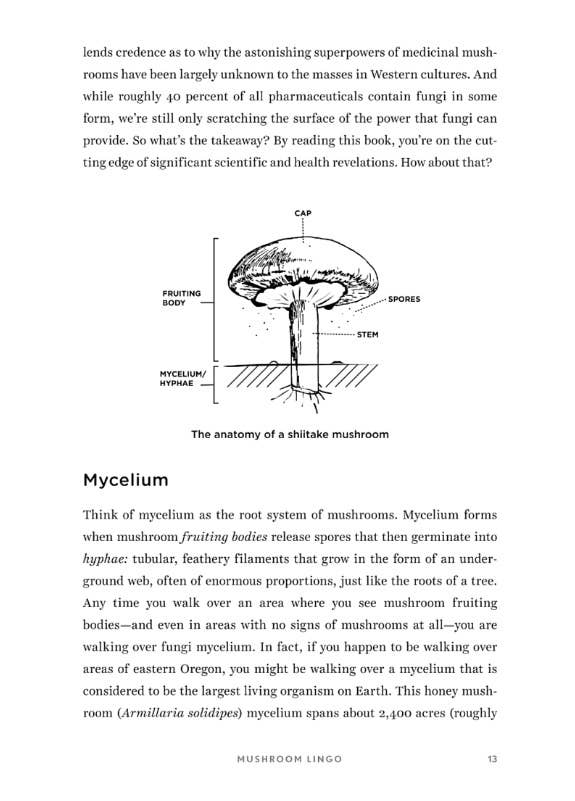 Healing Mushrooms: Using Mushrooms for Whole Body Health - Image 4