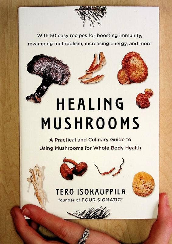 Healing Mushrooms: Using Mushrooms for Whole Body Health - Image 5