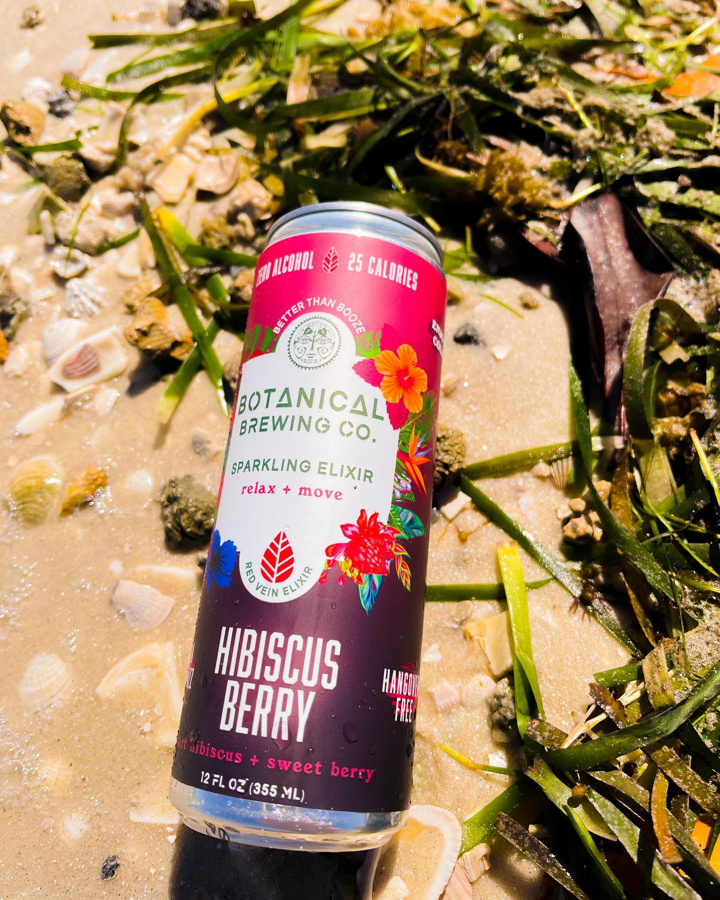 Botanical Brewing Company - Hibiscus Berry with Red Elixir