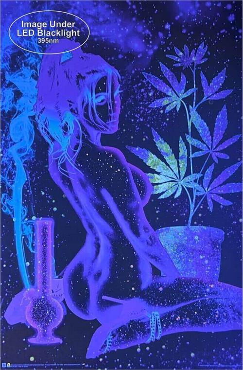 High As Space Non Flocked Blacklight Poster - Image 2