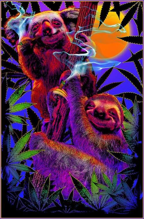 High In The Bush Sloth/Koala Non Flocked Blacklight Poster