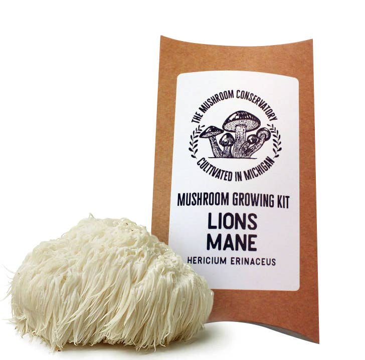 The Mushroom Conservatory - Lions Mane Gourmet Mushroom Growing Kit!