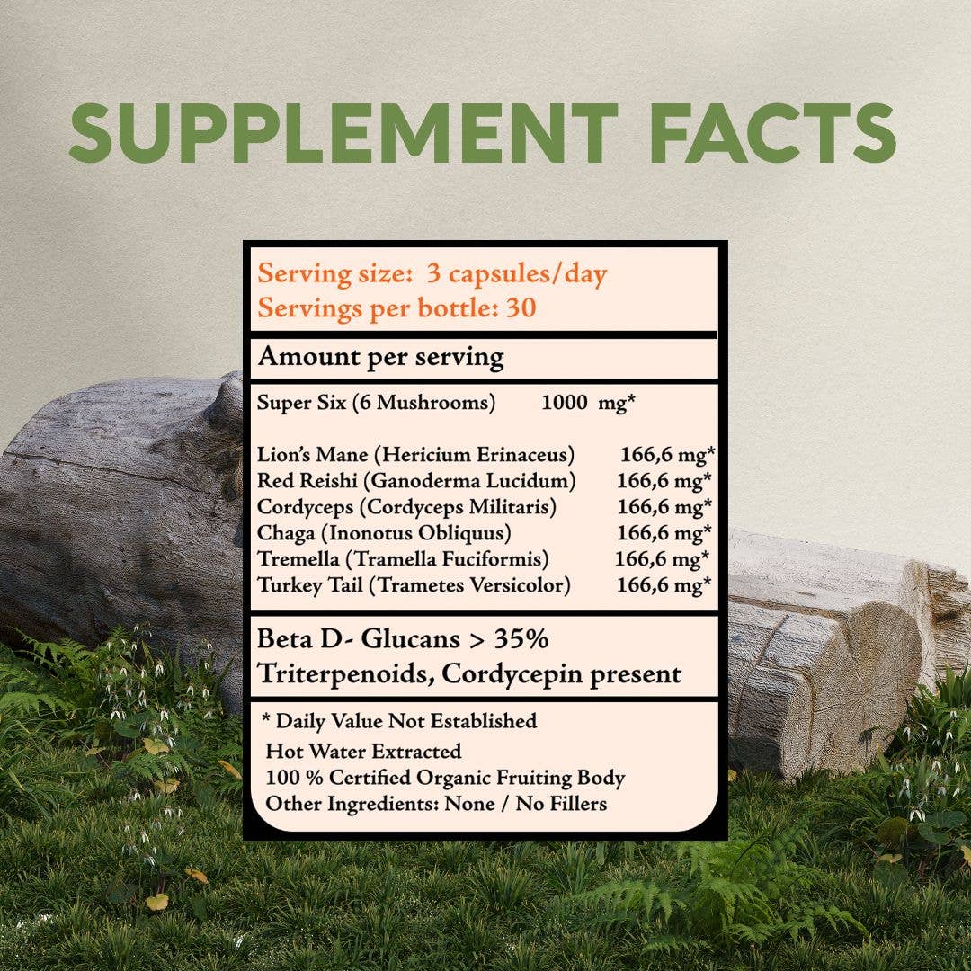 Longevity Botanicals - Organic Super Six Blend Mushroom Extract 90 Capsules - Image 2