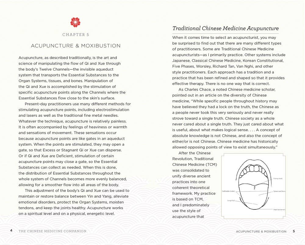 Chinese Medicine Companion: Modern Guide to Ancient Healing - Image 3