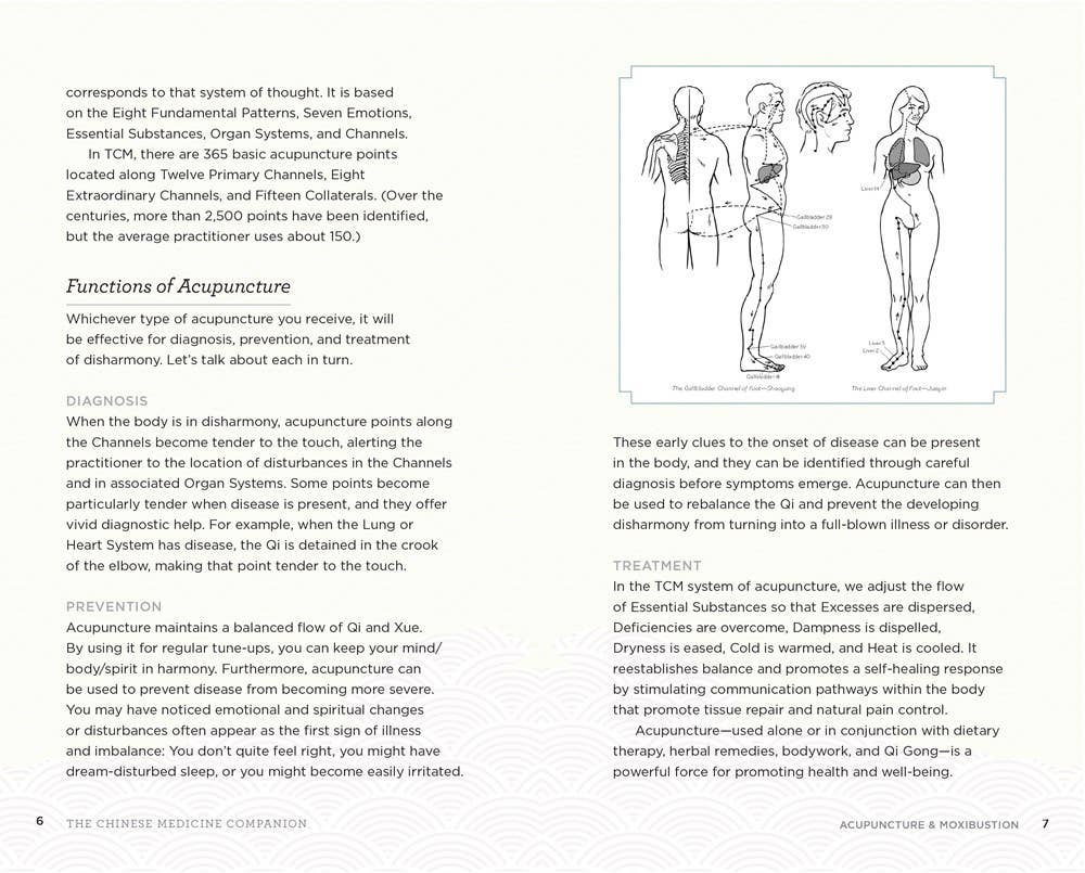 Chinese Medicine Companion: Modern Guide to Ancient Healing - Image 4