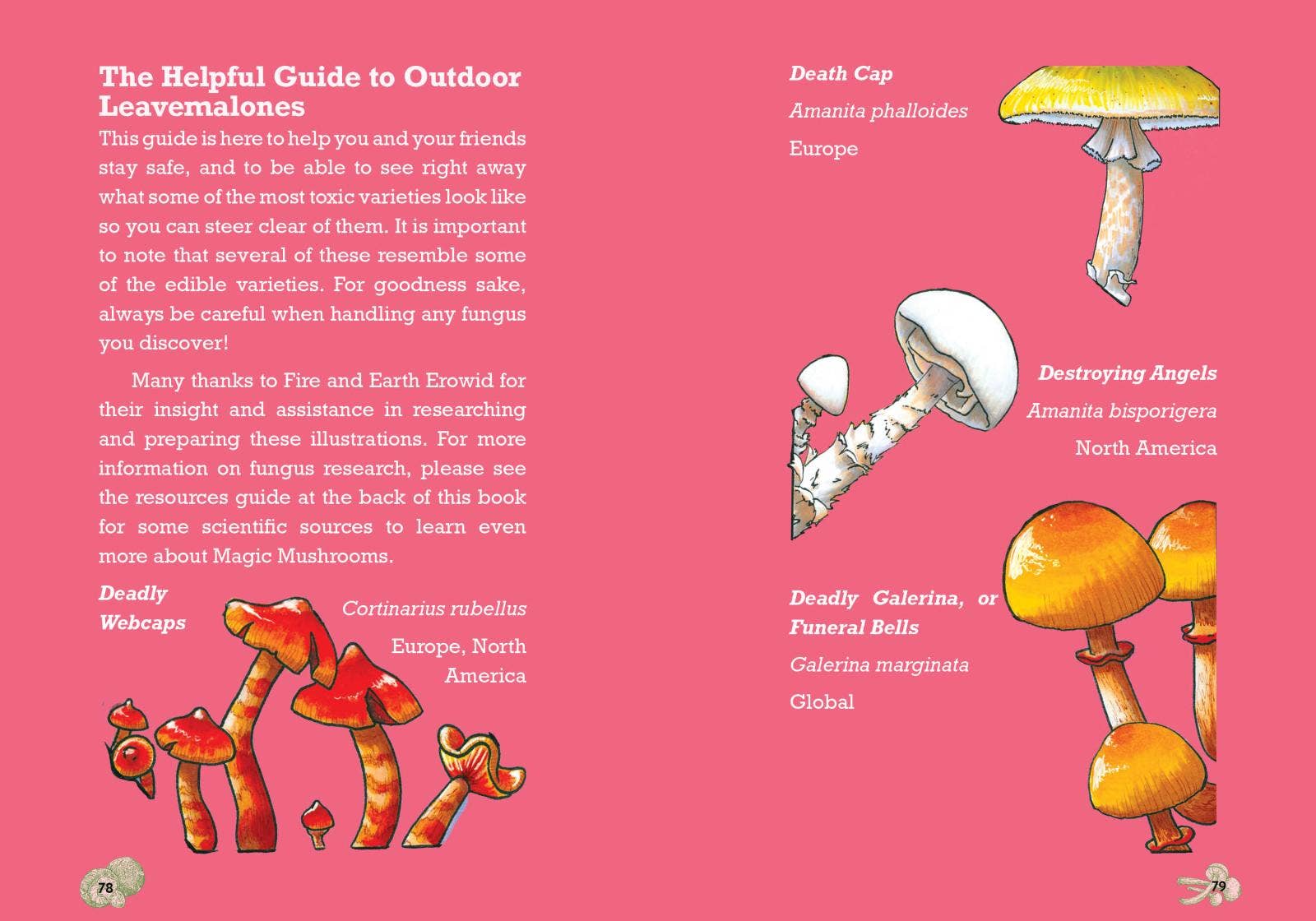 Cooking with Magic Mushrooms: The Psilocybin Cookbook - Image 4