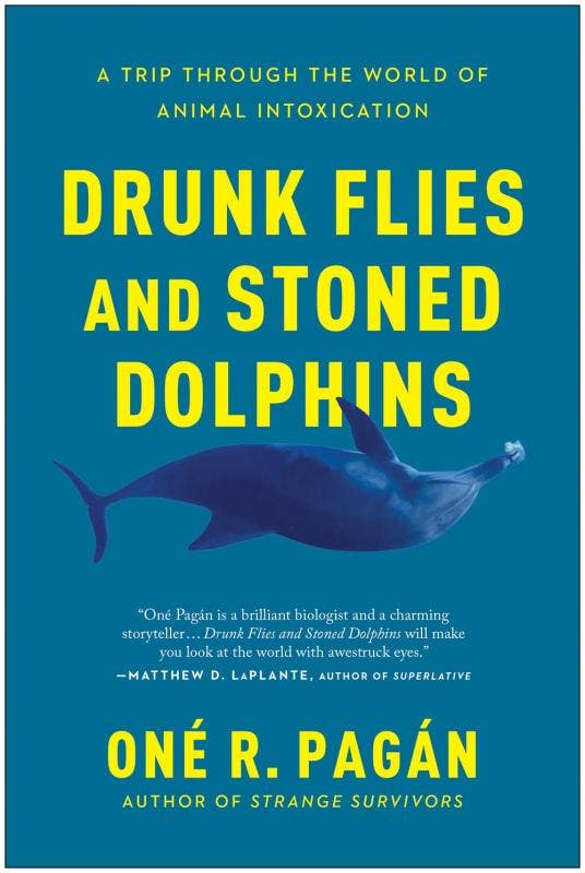 Drunk Flies and Stoned Dolphins: Animal Intoxication