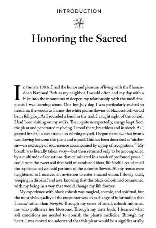 Energetic Herbalism: A Guide to Sacred Plant Traditions - Image 3