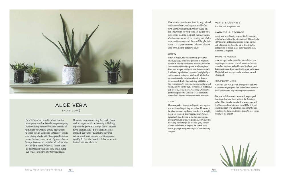 Grow Your Own Botanicals: Deliciously Productive Plants - Image 3