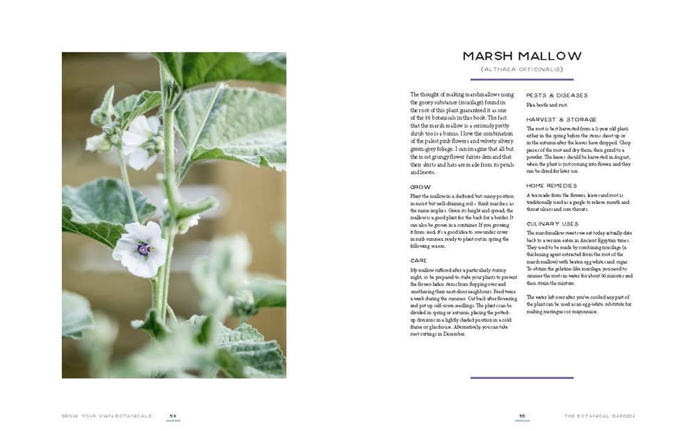 Grow Your Own Botanicals: Deliciously Productive Plants - Image 5