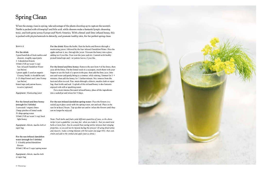 Herball's Guide to Botanical Drinks: Alchemy of Plants - Image 3