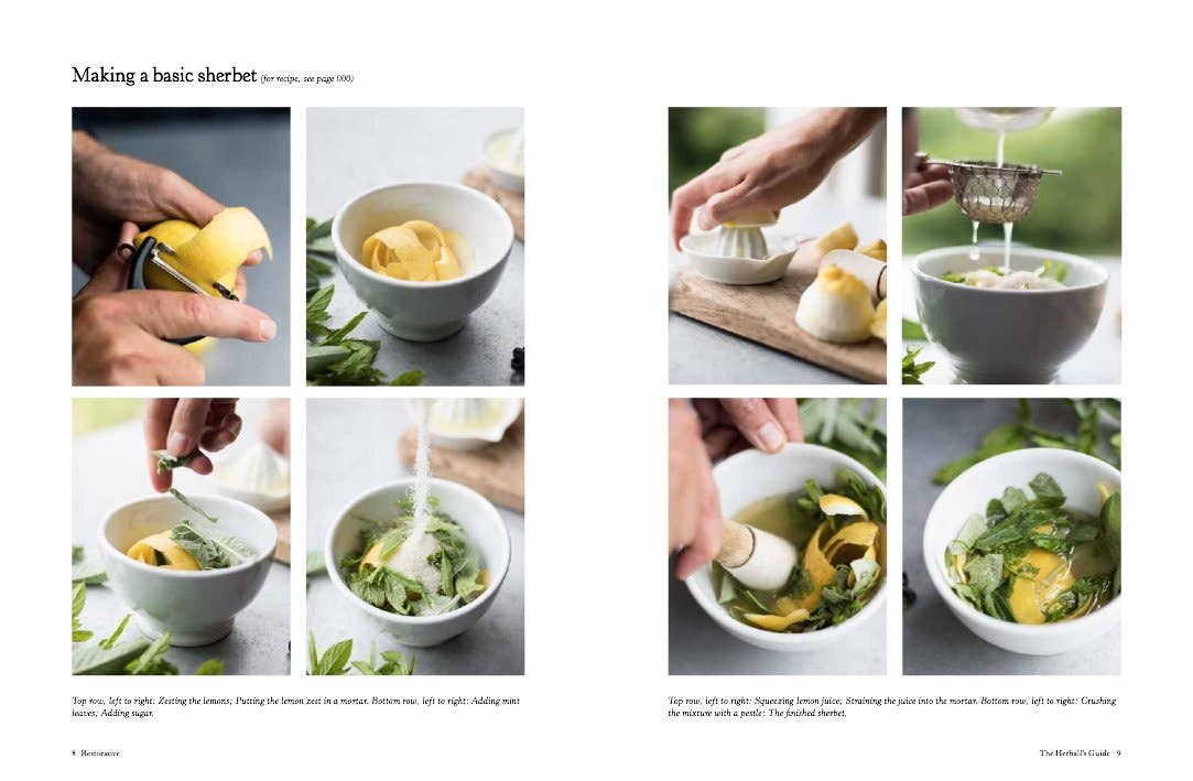 Herball's Guide to Botanical Drinks: Alchemy of Plants - Image 4